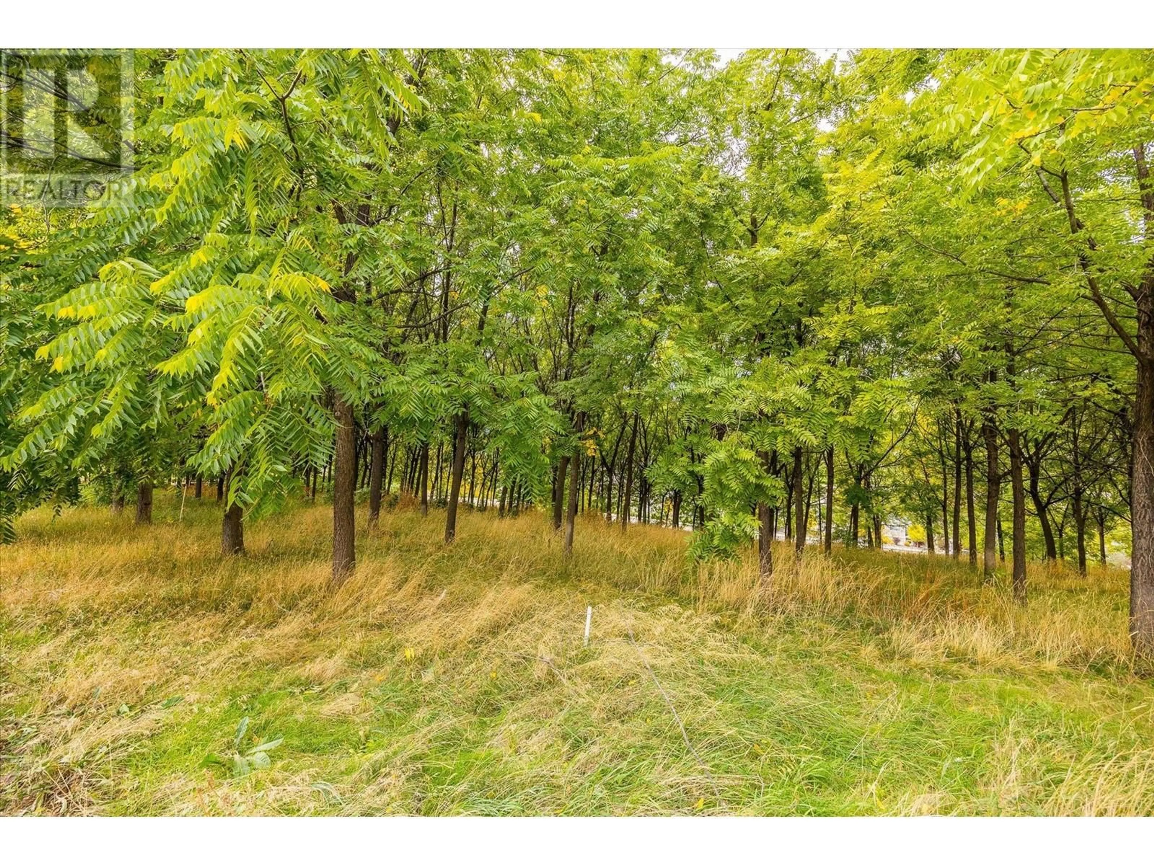 A pic from outside/outdoor area/front of a property/back of a property/a pic from drone, forest/trees view for 848 WEBSTER ROAD, Kelowna British Columbia V1P1C2