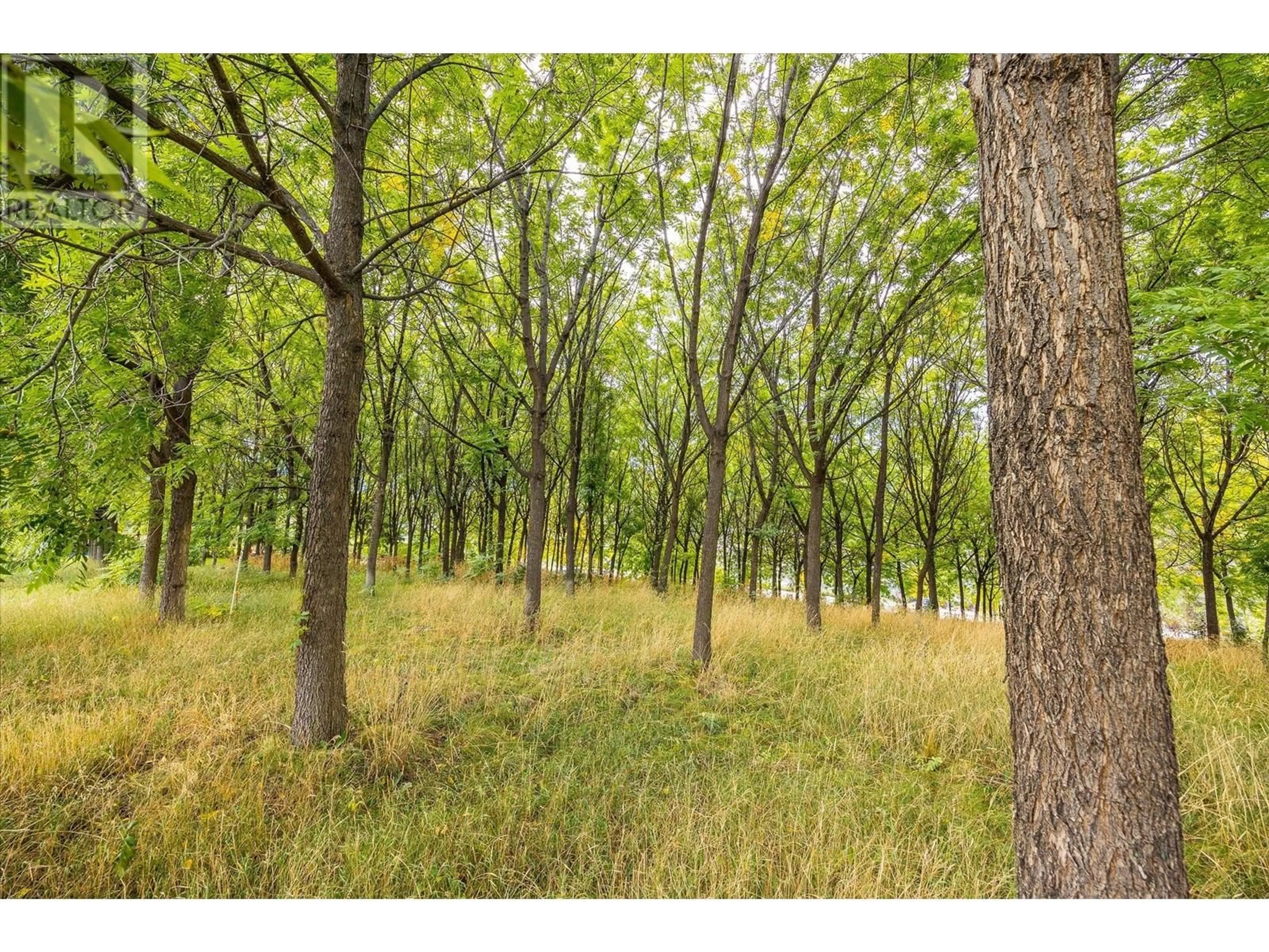 Blurry image for 848 WEBSTER ROAD, Kelowna British Columbia V1P1C2