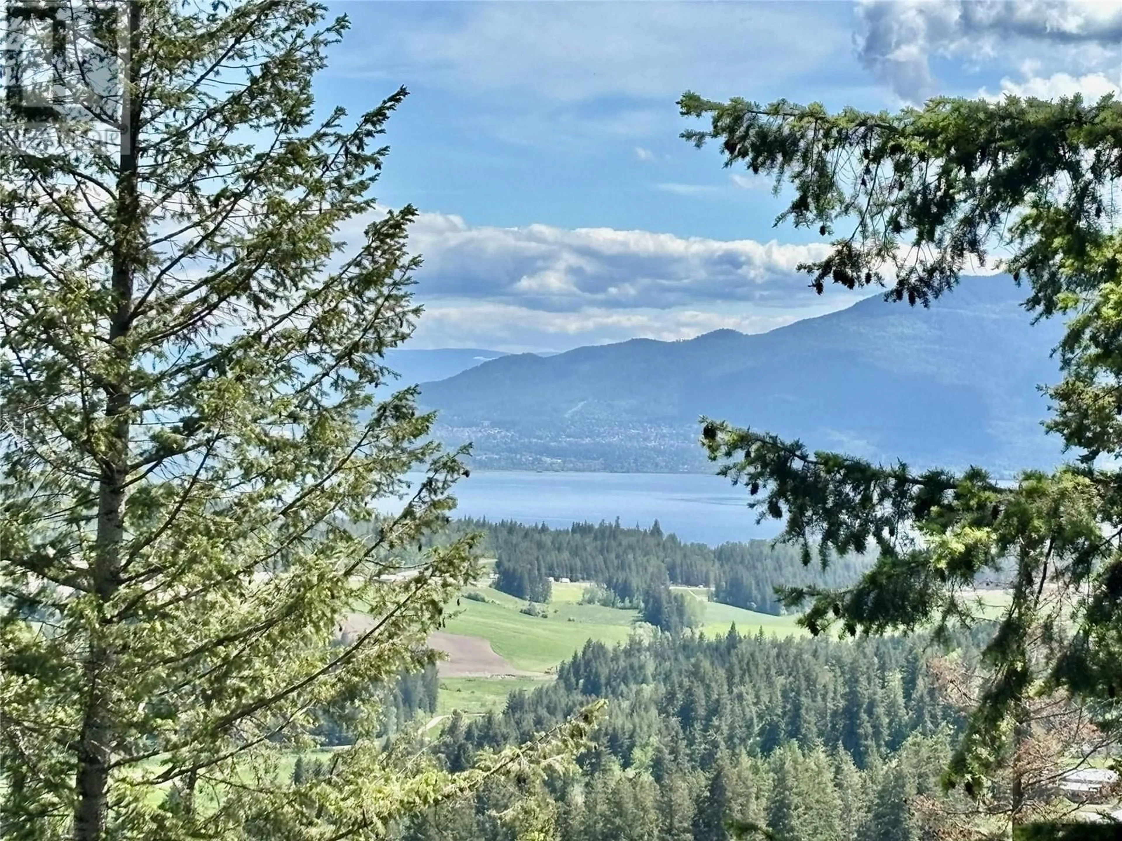 A pic from outside/outdoor area/front of a property/back of a property/a pic from drone, water/lake/river/ocean view for 1611 TAPPEN NOTCH HILL ROAD, Tappen British Columbia V0E2X0