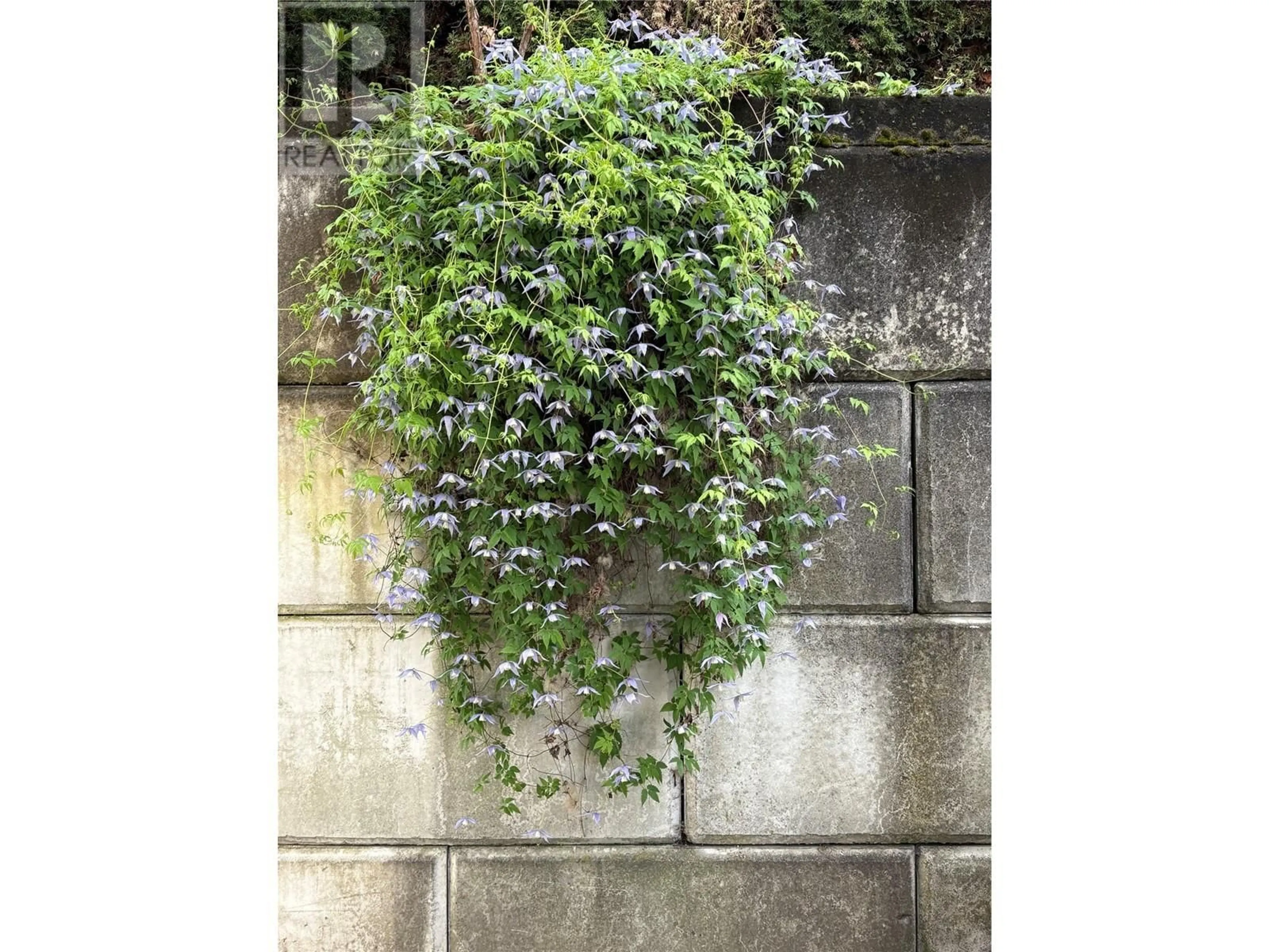 Patio, street for 103 - 130 CHATHAM STREET, Nelson British Columbia V1L3Y8