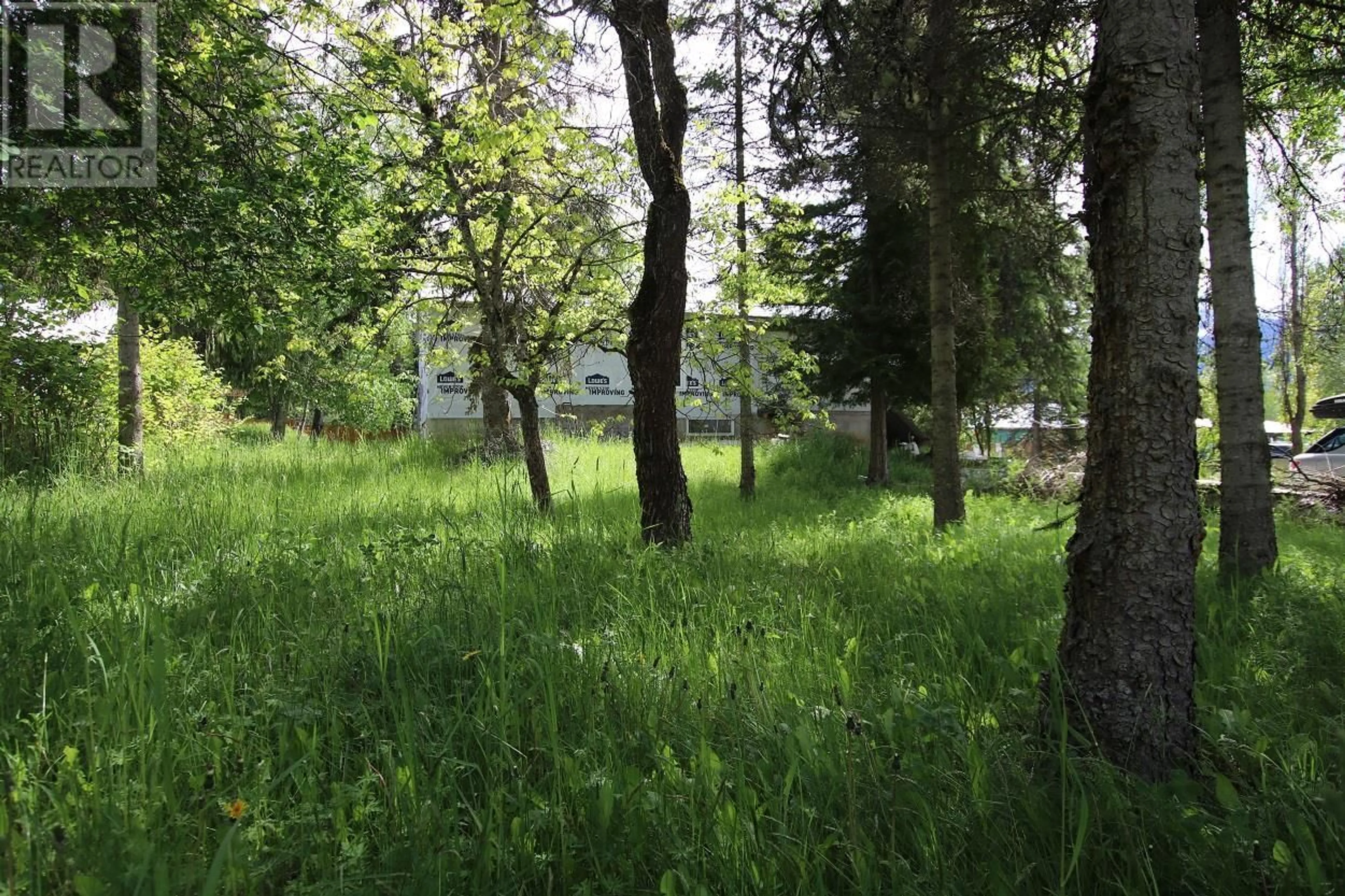 Unknown for 553 HIGHWAY 6 OTHER, Nakusp British Columbia V0G1R1