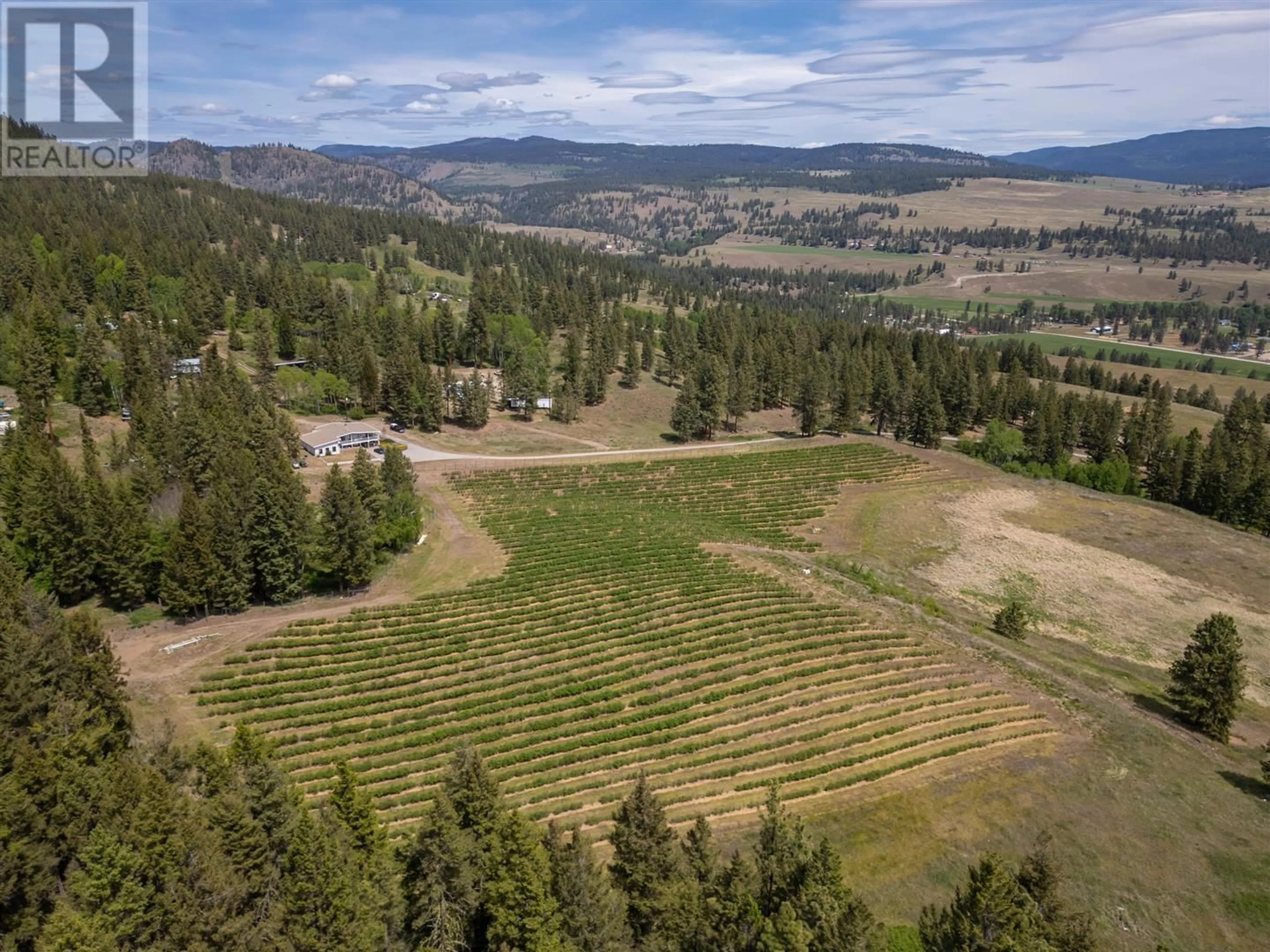 A pic from outside/outdoor area/front of a property/back of a property/a pic from drone, forest/trees view for 615 CEDAR CREEK ROAD, Princeton British Columbia V0X1W0