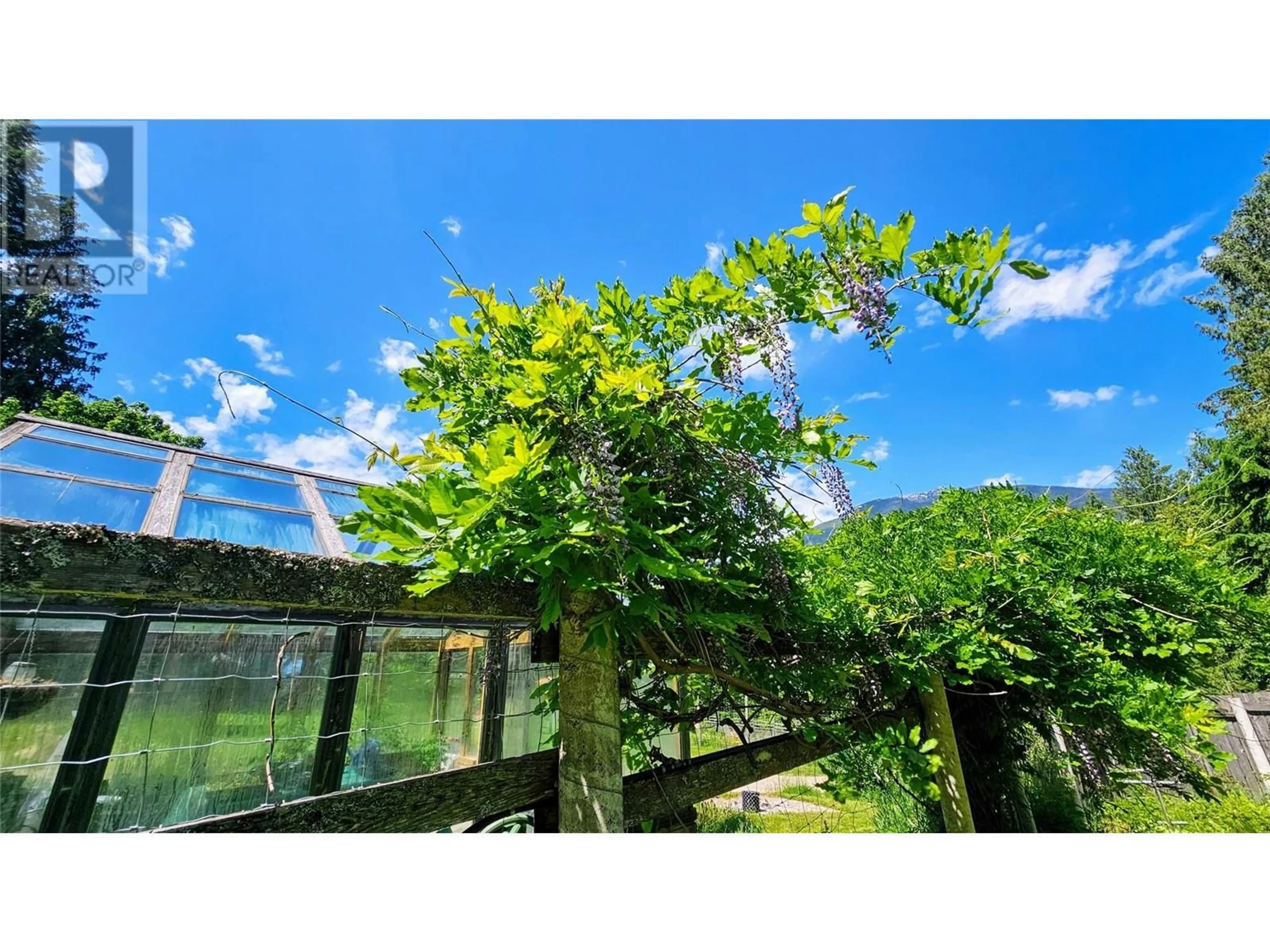 Patio, forest/trees view for 8496 B PROCTER EAST ROAD, Procter British Columbia V1L0B7