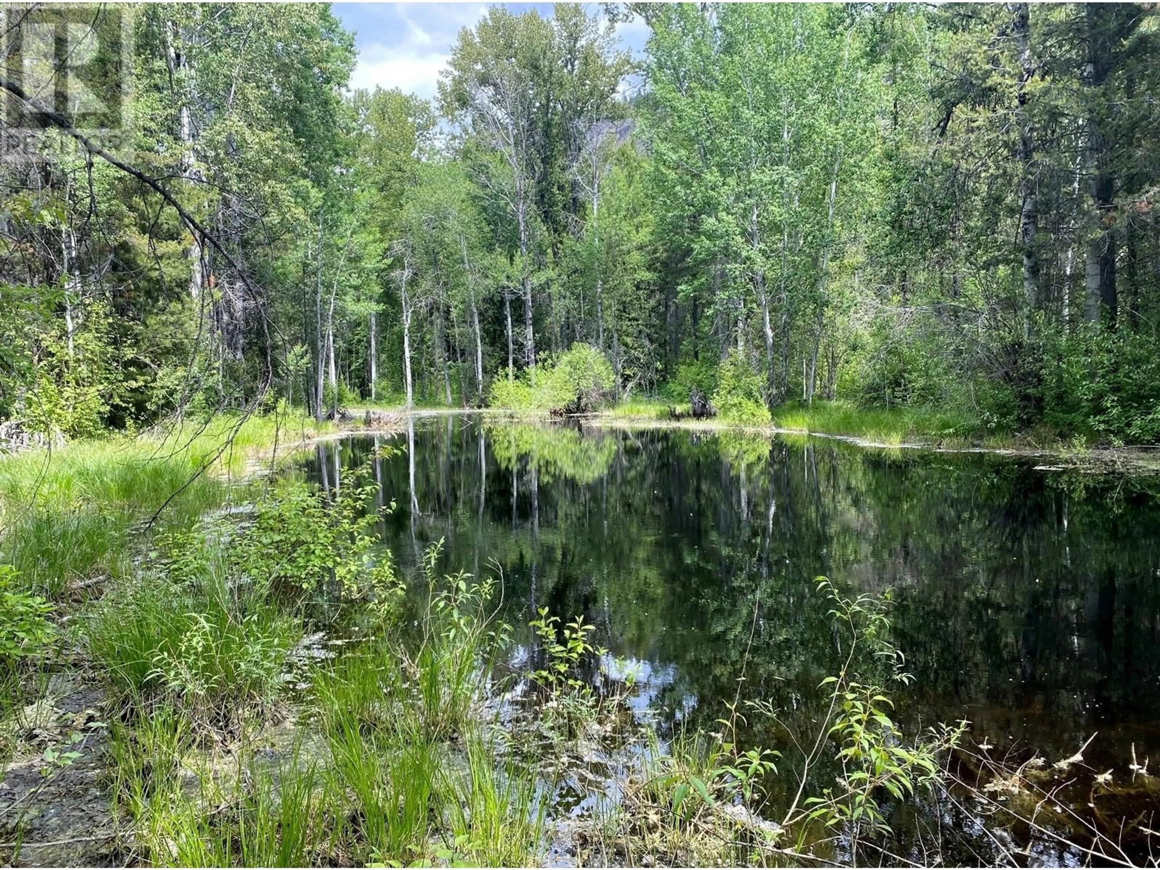 Unknown for 19300 NORTH FORK ROAD, Grand Forks British Columbia V0H1H1