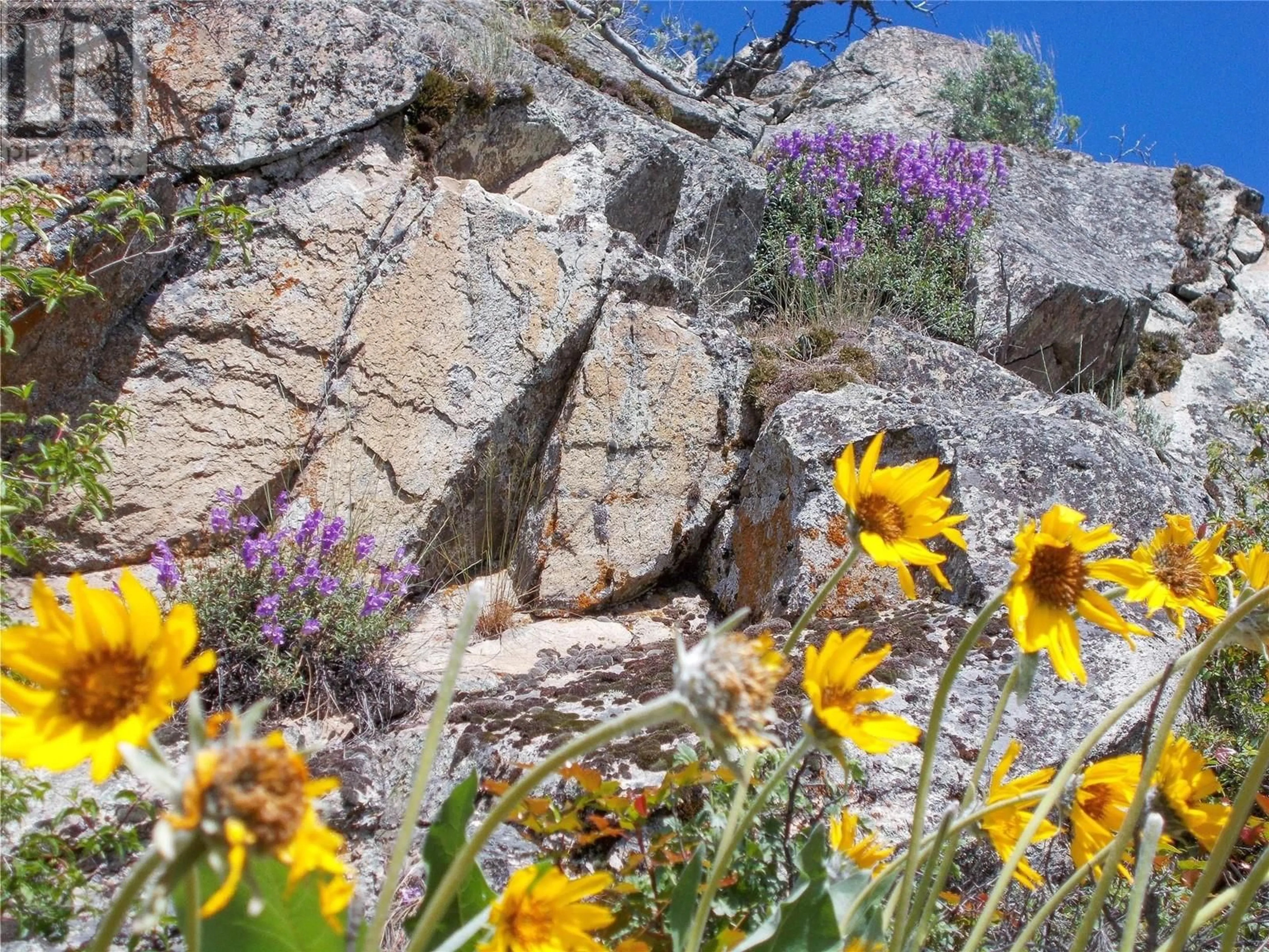 Unknown for 1345 3 HIGHWAY, Osoyoos British Columbia V0H1V6