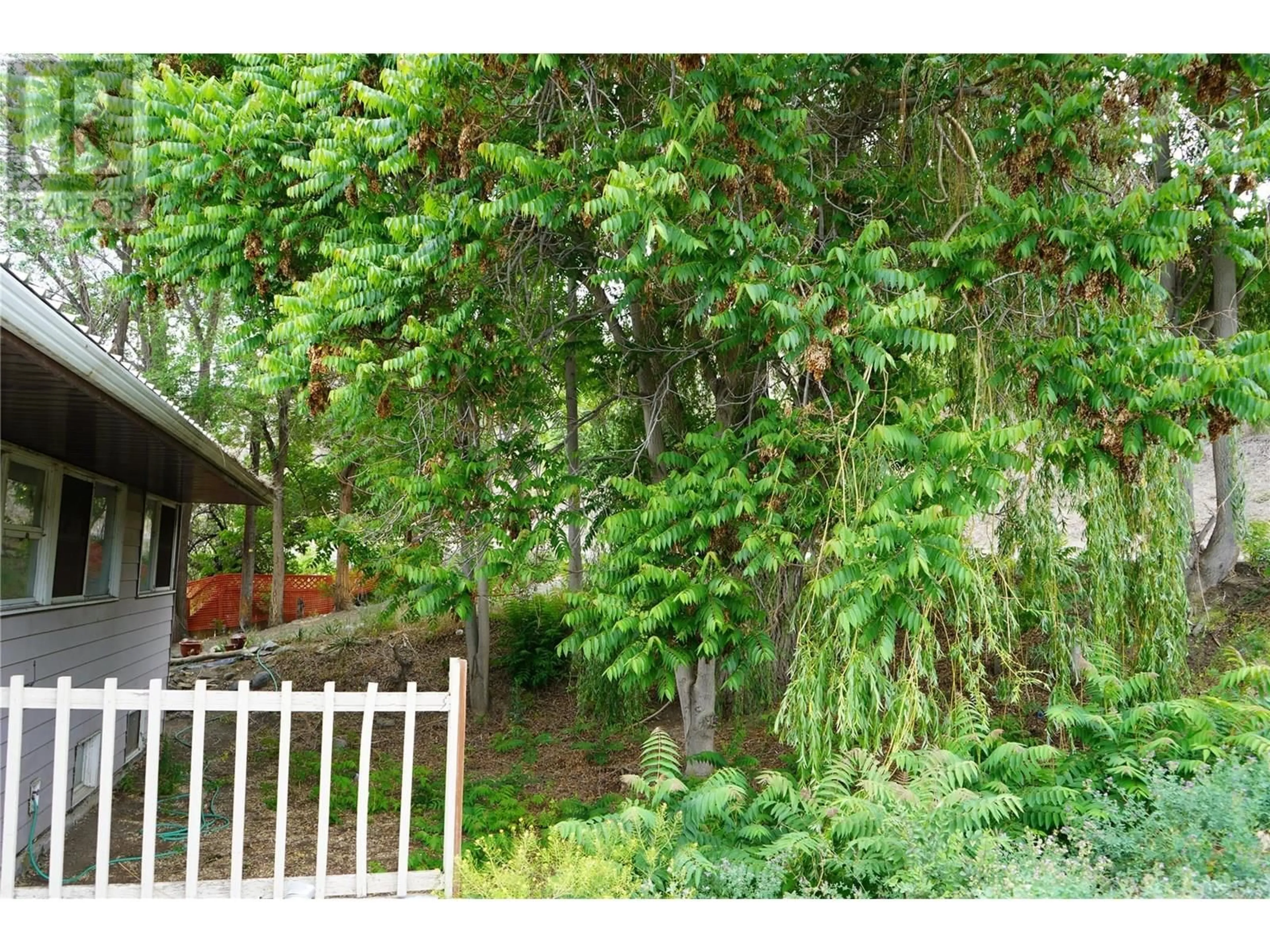 Patio, forest/trees view for 221 GOVERNMENT STREET, Ashcroft British Columbia V0k1A0