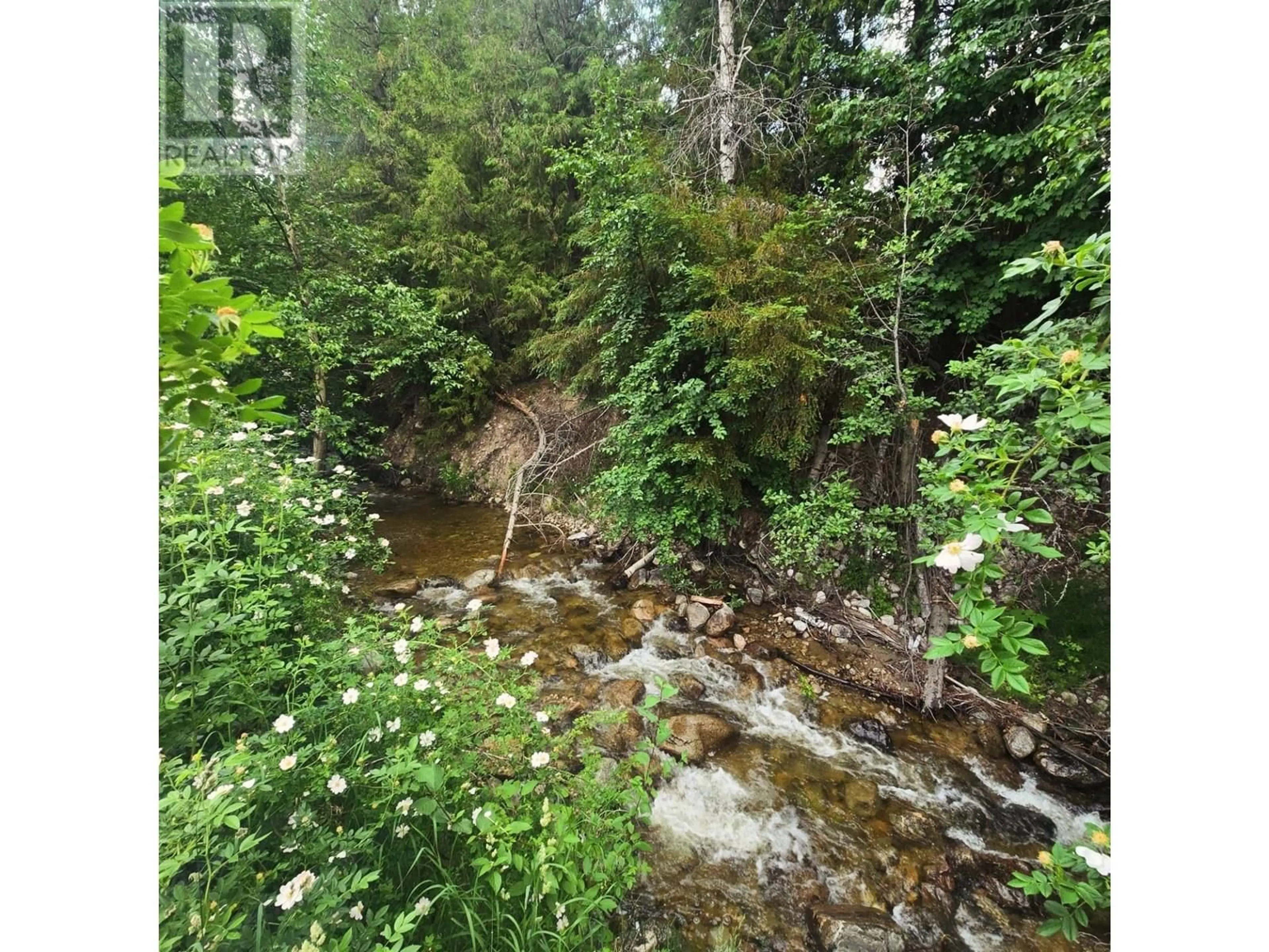 A pic from outside/outdoor area/front of a property/back of a property/a pic from drone, forest/trees view for 4 - 4029 BROADWATER ROAD, Robson British Columbia V1N4V6