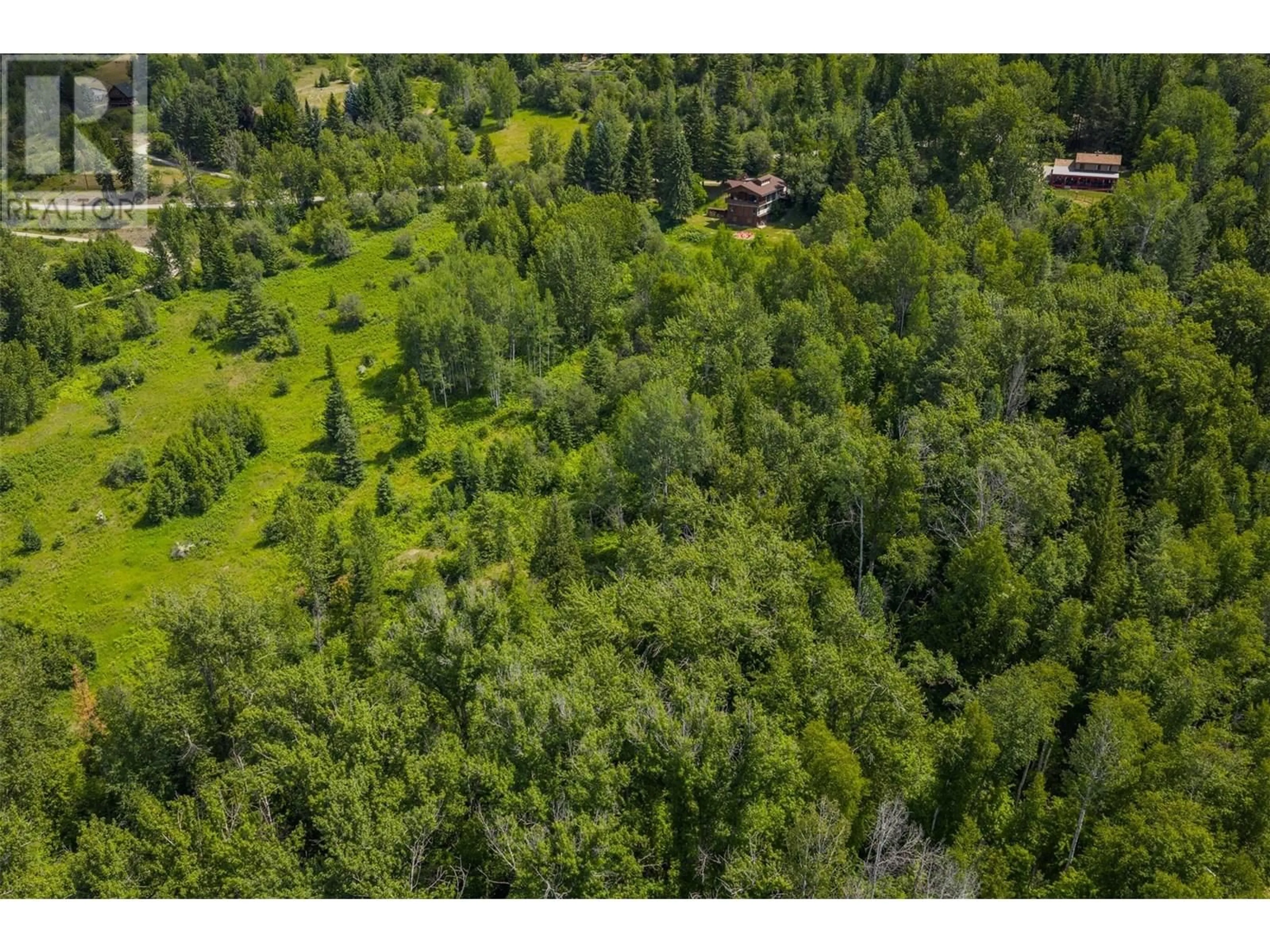 A pic from outside/outdoor area/front of a property/back of a property/a pic from drone, forest/trees view for 1137 MCLEOD ROAD, Beaver Falls British Columbia V0G1L1