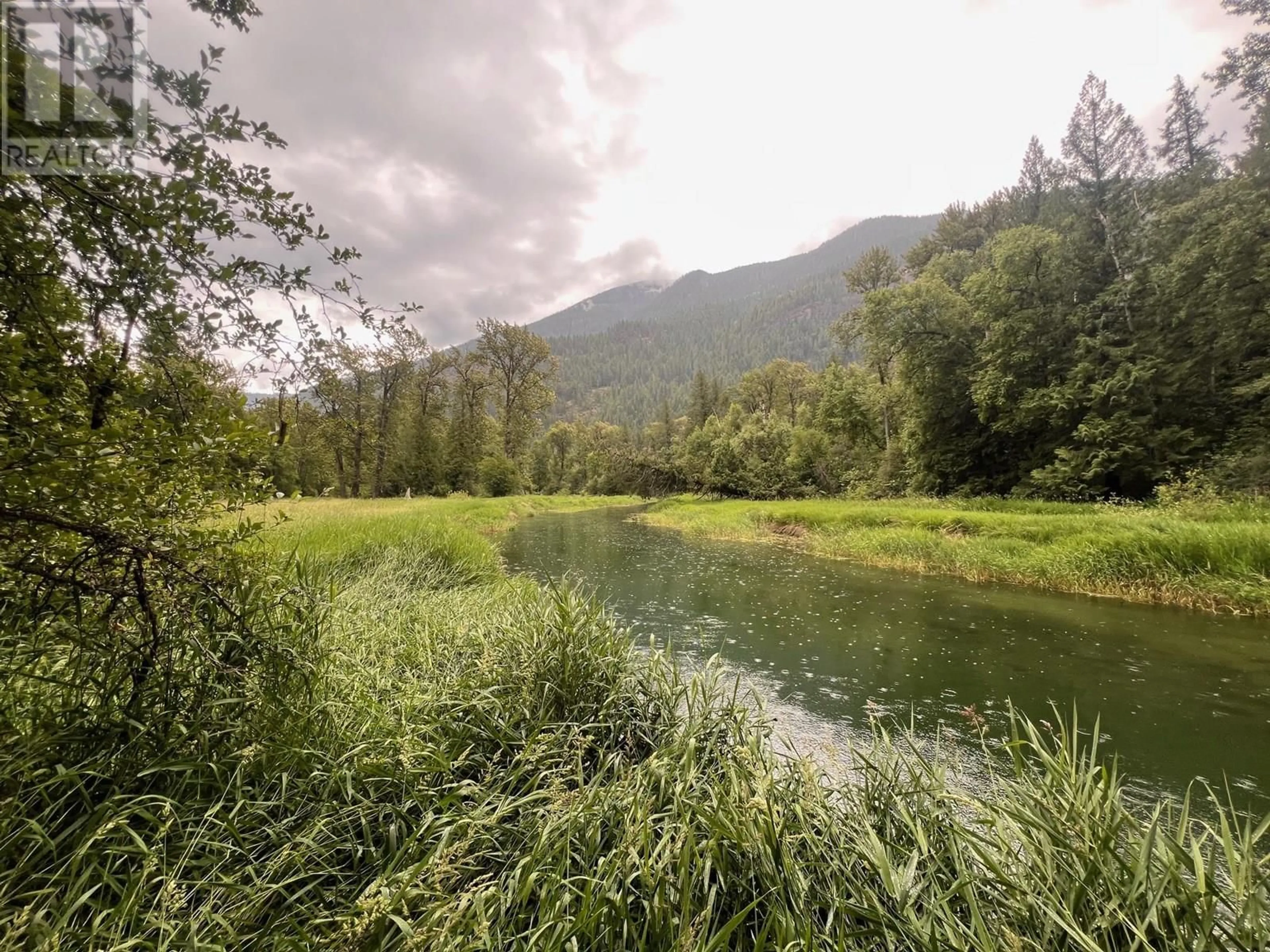 Blurry image for 4421 SLOCAN RIVER ROAD, Winlaw British Columbia V0G2J0