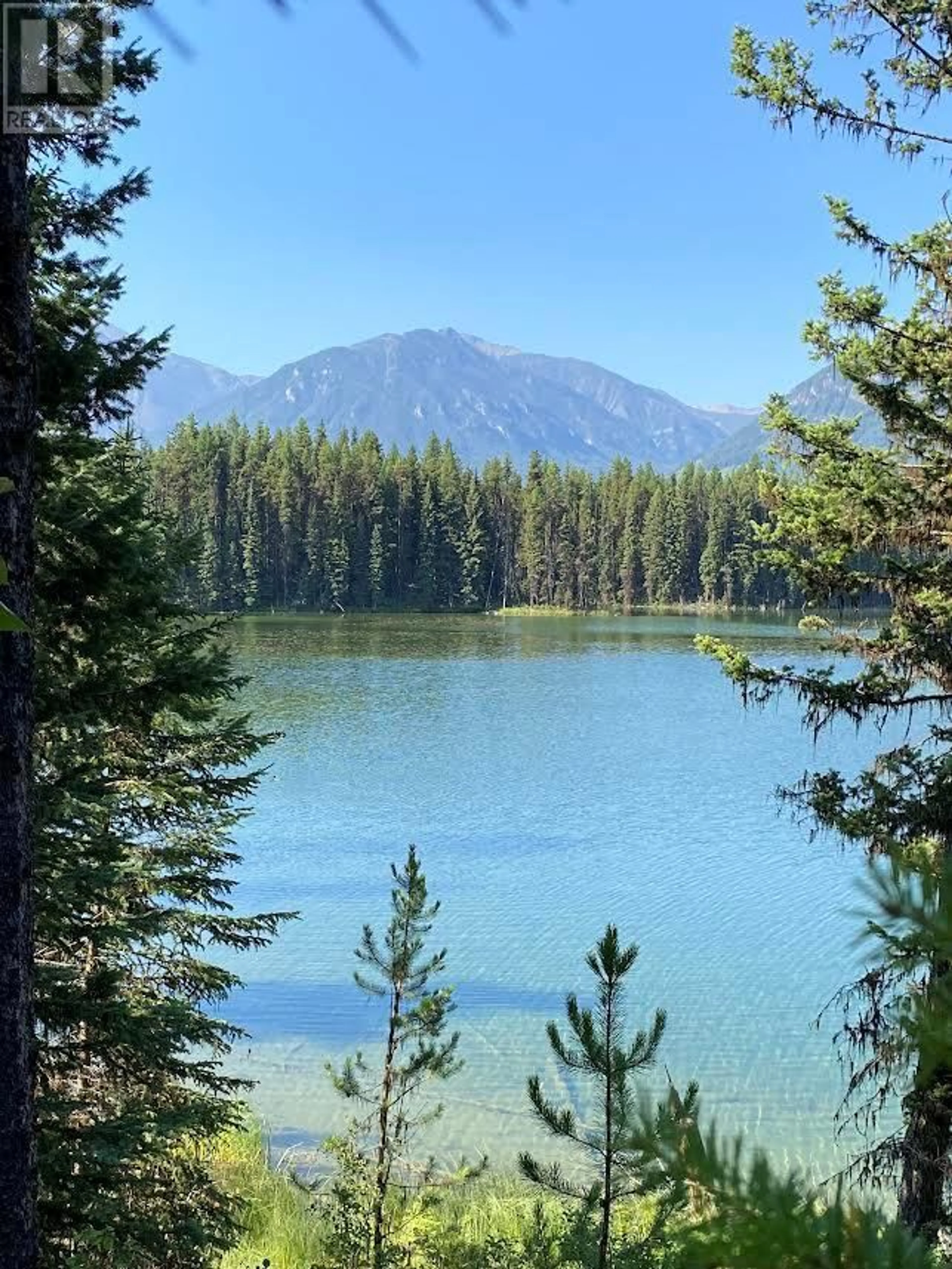 A pic of a room for Km 44 WESTSIDE ROAD, Brisco British Columbia V0B1B0