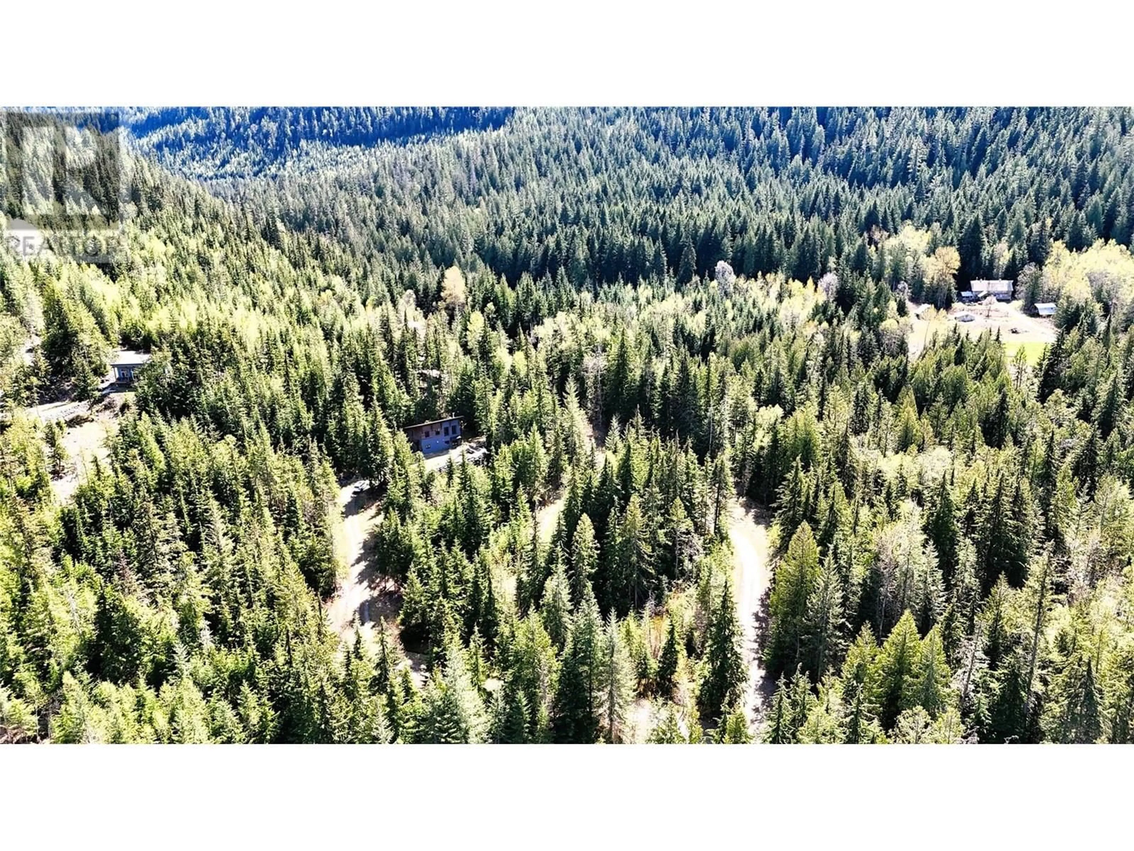 A pic from outside/outdoor area/front of a property/back of a property/a pic from drone, forest/trees view for Lot 6 SALMON CREEK ROAD, Beaton British Columbia V0E1R2