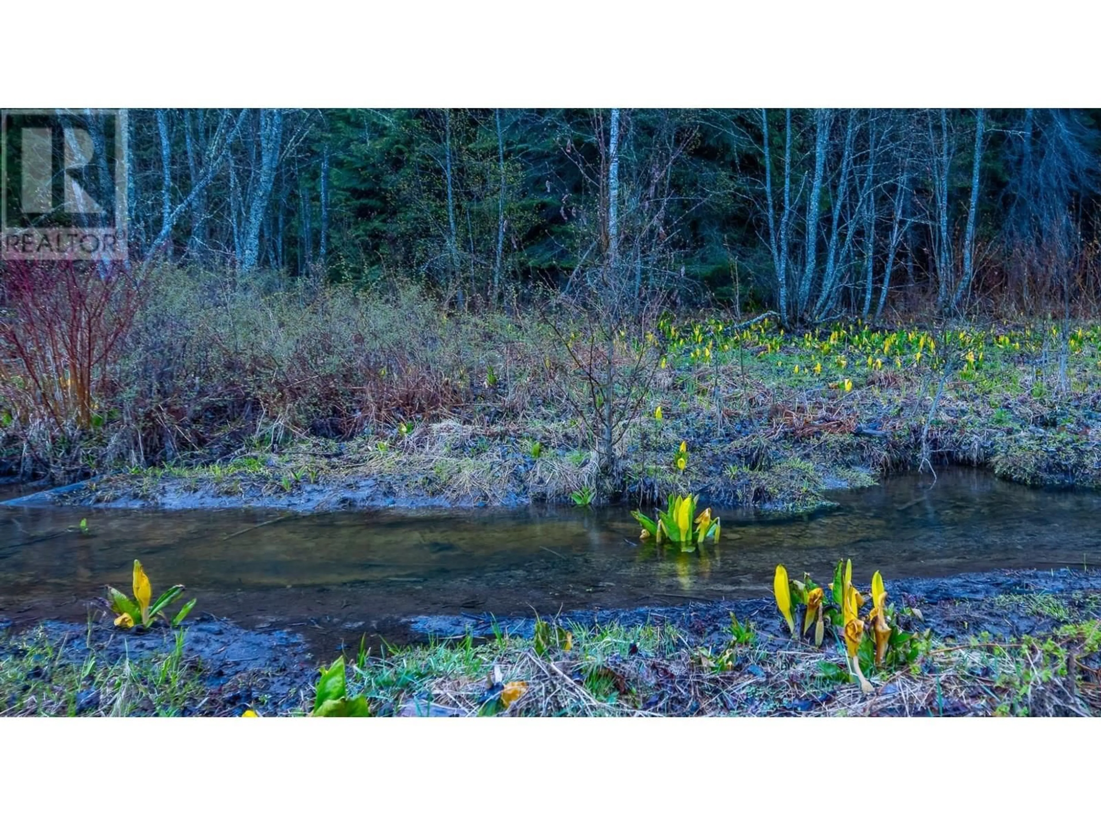 Blurry image for 1097 LAKEVIEW ARROW CREEK ROAD, Creston British Columbia V0B1G1
