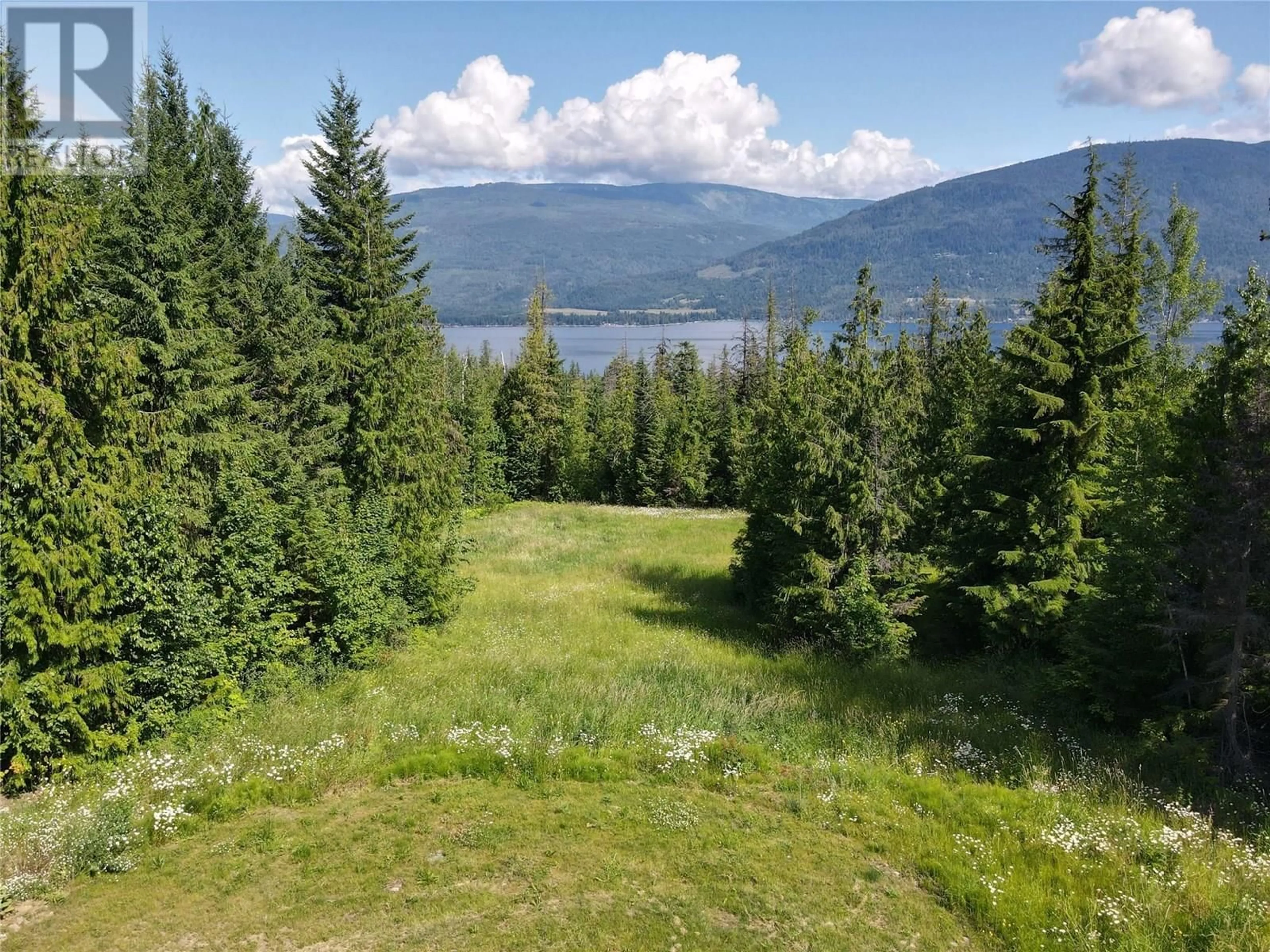 A pic from outside/outdoor area/front of a property/back of a property/a pic from drone, forest/trees view for 4959 IVY ROAD, Eagle Bay British Columbia V0E1T0