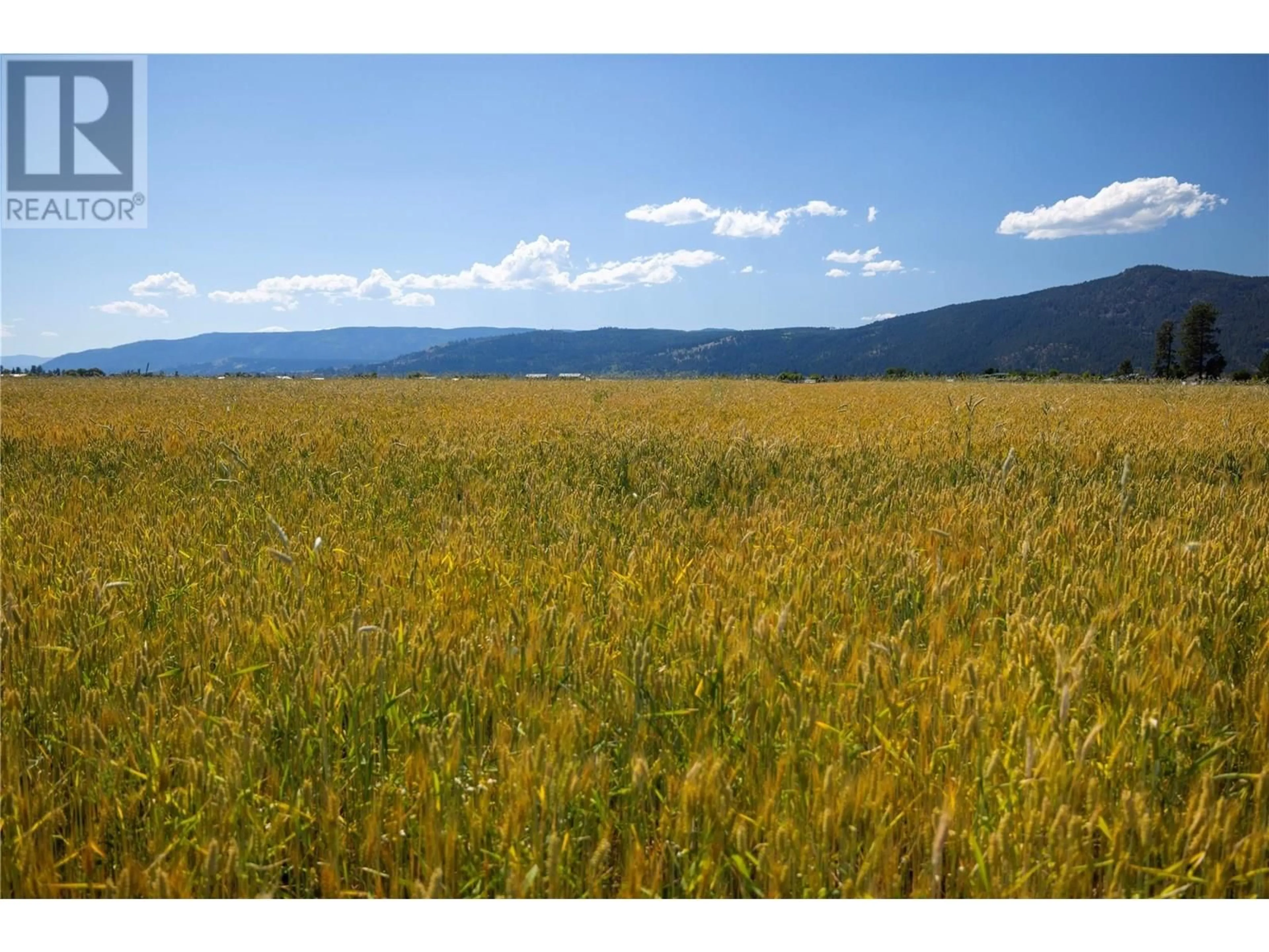 Blurry image for 2028 OKANAGAN STREET, Armstrong British Columbia V0E1B1