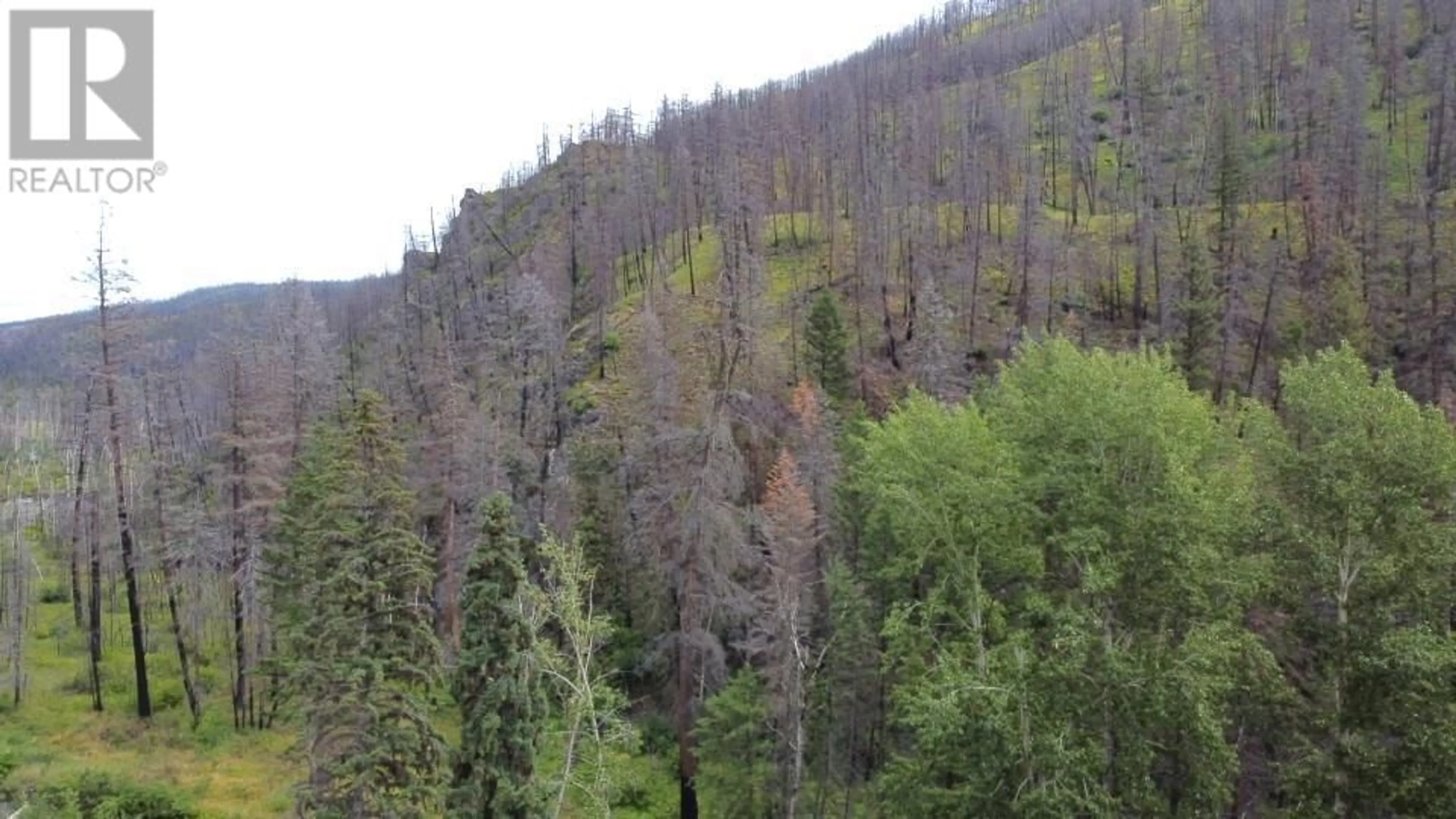 Blurry image for 6520 DEADMAN VIDETTE ROAD, Out of Area British Columbia V0K2J0