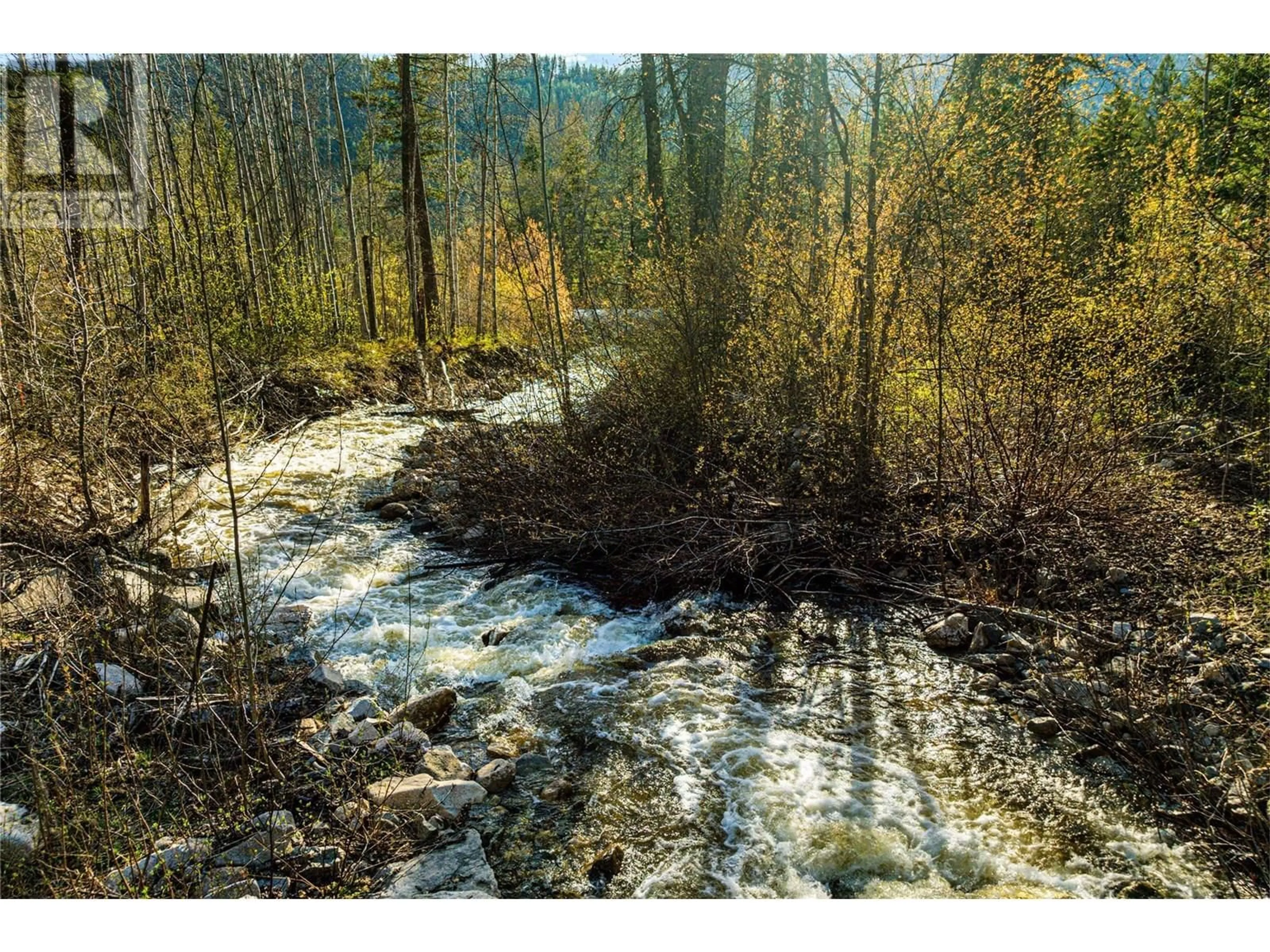 Blurry image for 4350 33 HIGHWAY, Beaverdell British Columbia V0H1A0