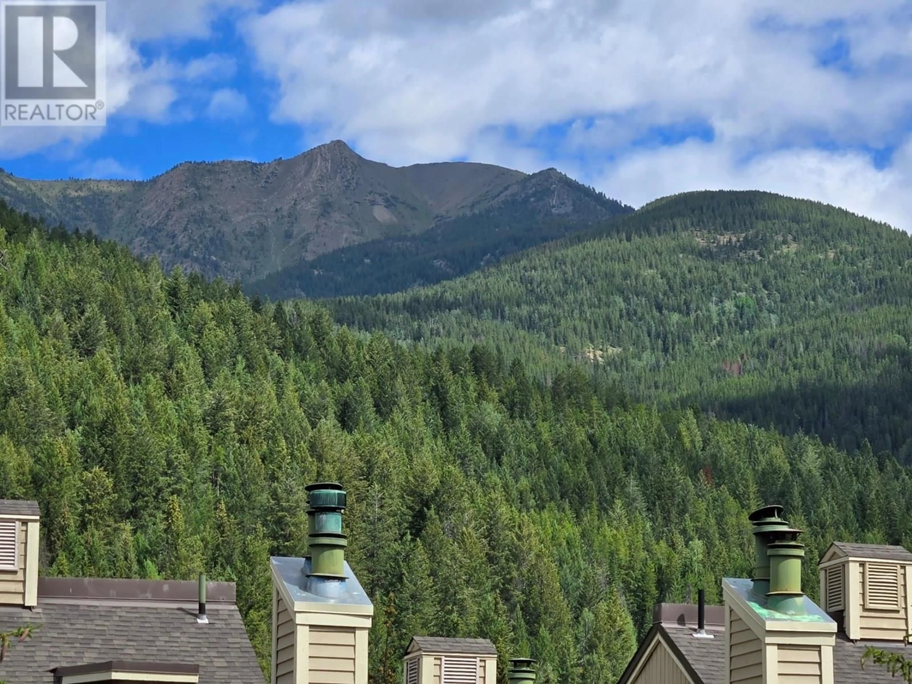 A pic from outside/outdoor area/front of a property/back of a property/a pic from drone, mountain view for 526 - 2030 PANORAMA DRIVE, Panorama British Columbia V0A1T0