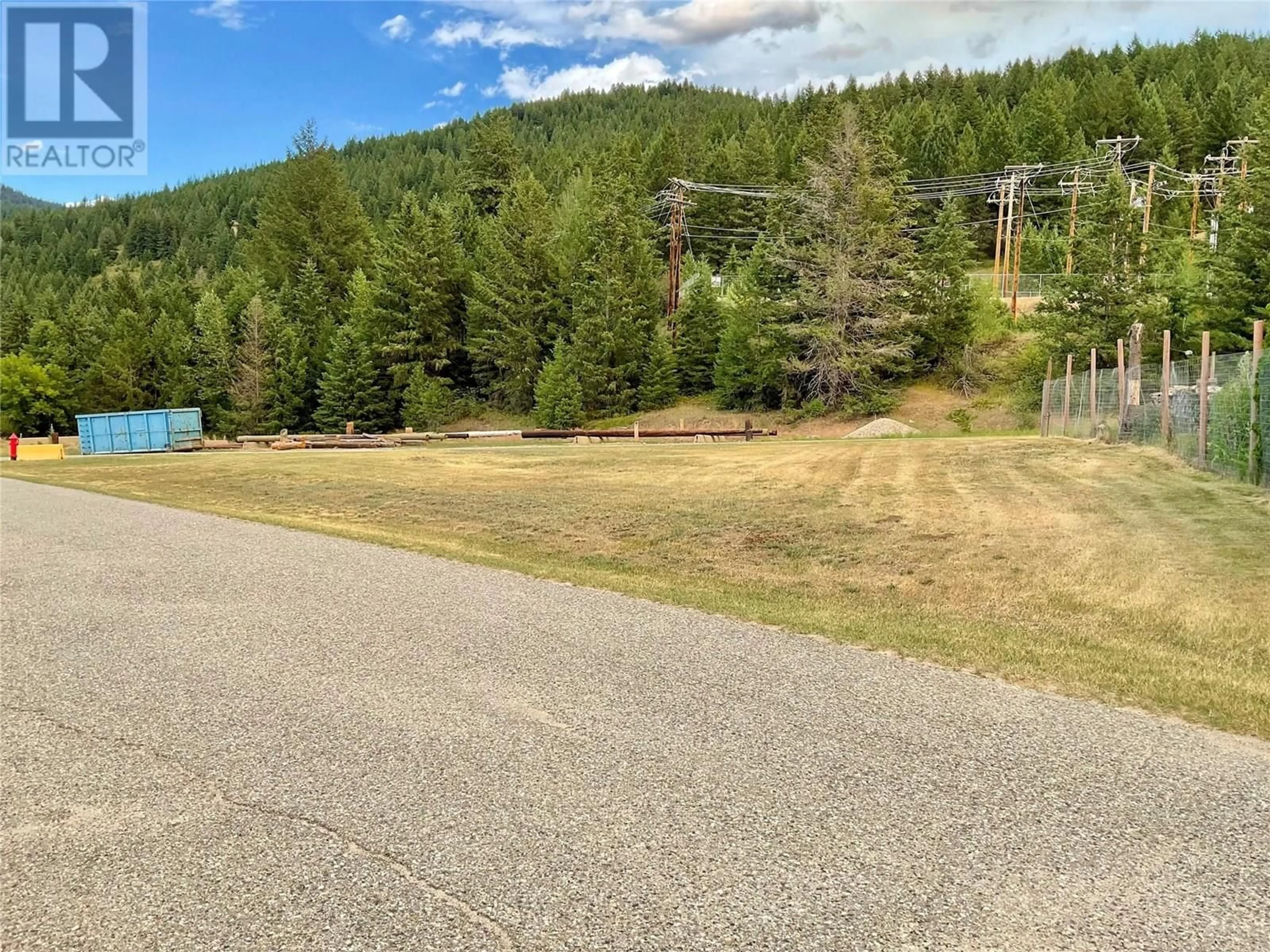 A pic from outside/outdoor area/front of a property/back of a property/a pic from drone, forest/trees view for 555 EVERETTE AVENUE, Greenwood British Columbia V0H1J0