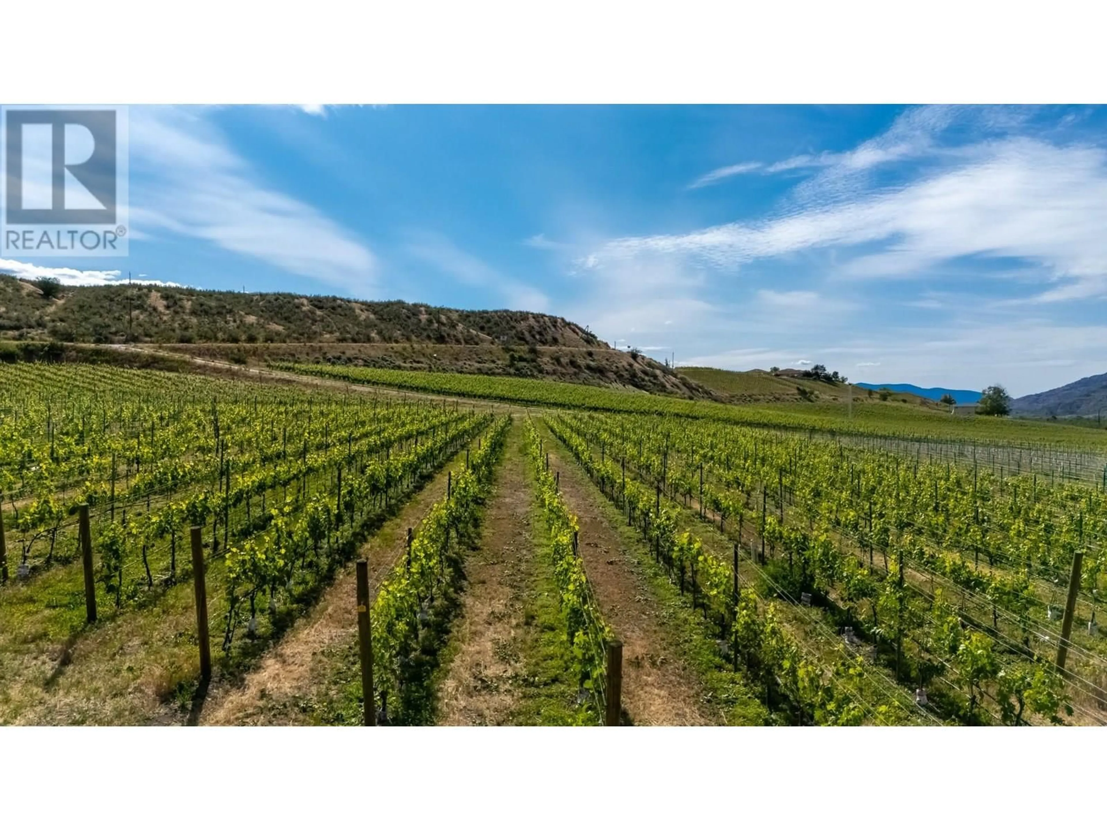 A pic from outside/outdoor area/front of a property/back of a property/a pic from drone, mountain view for 4535 RYEGRASS ROAD, Oliver British Columbia V0H1T0
