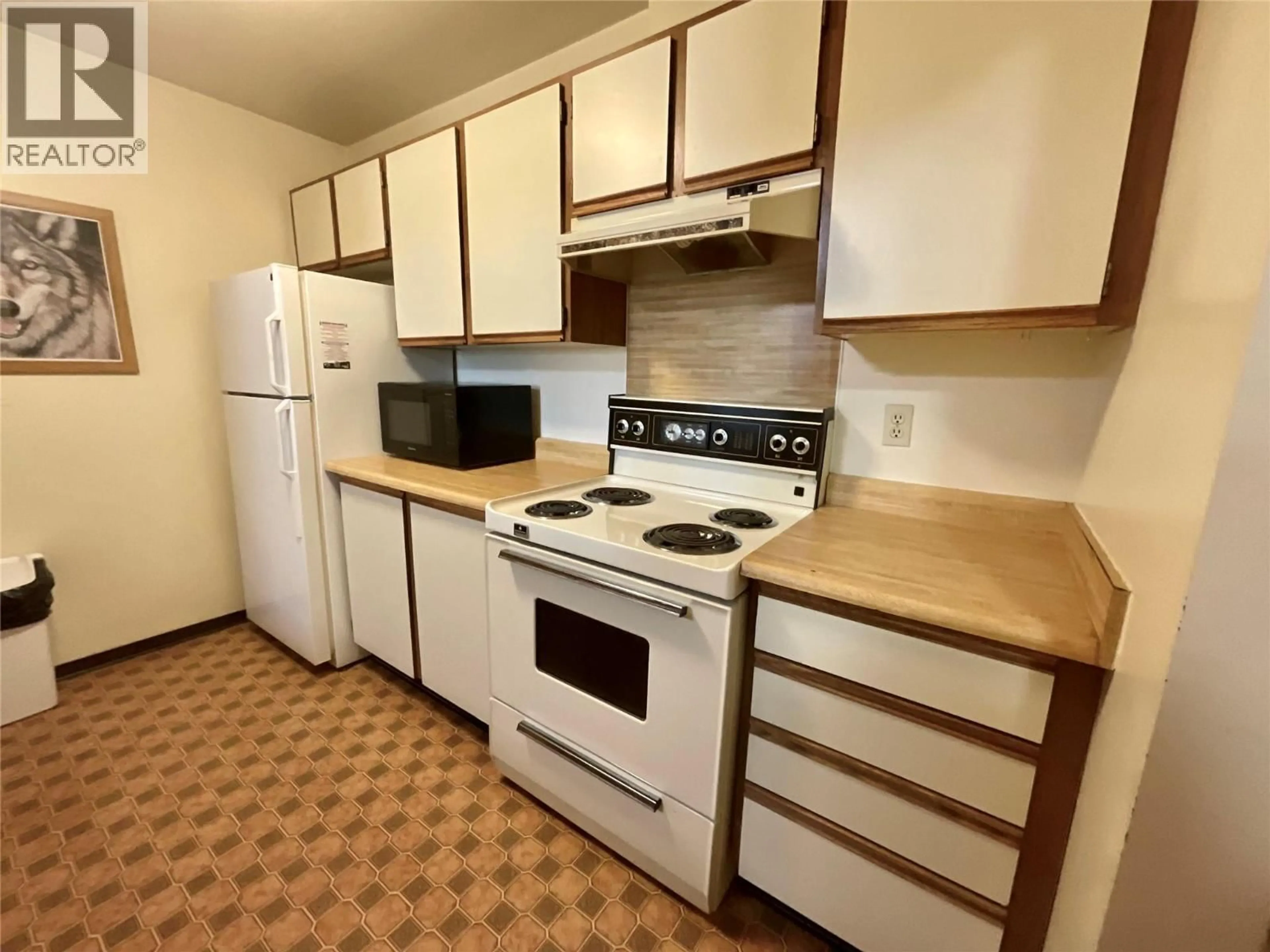 Standard kitchen, unknown for 113 - 195 CHAMBERLAIN CRESCENT, Tumbler Ridge British Columbia V0C2W0