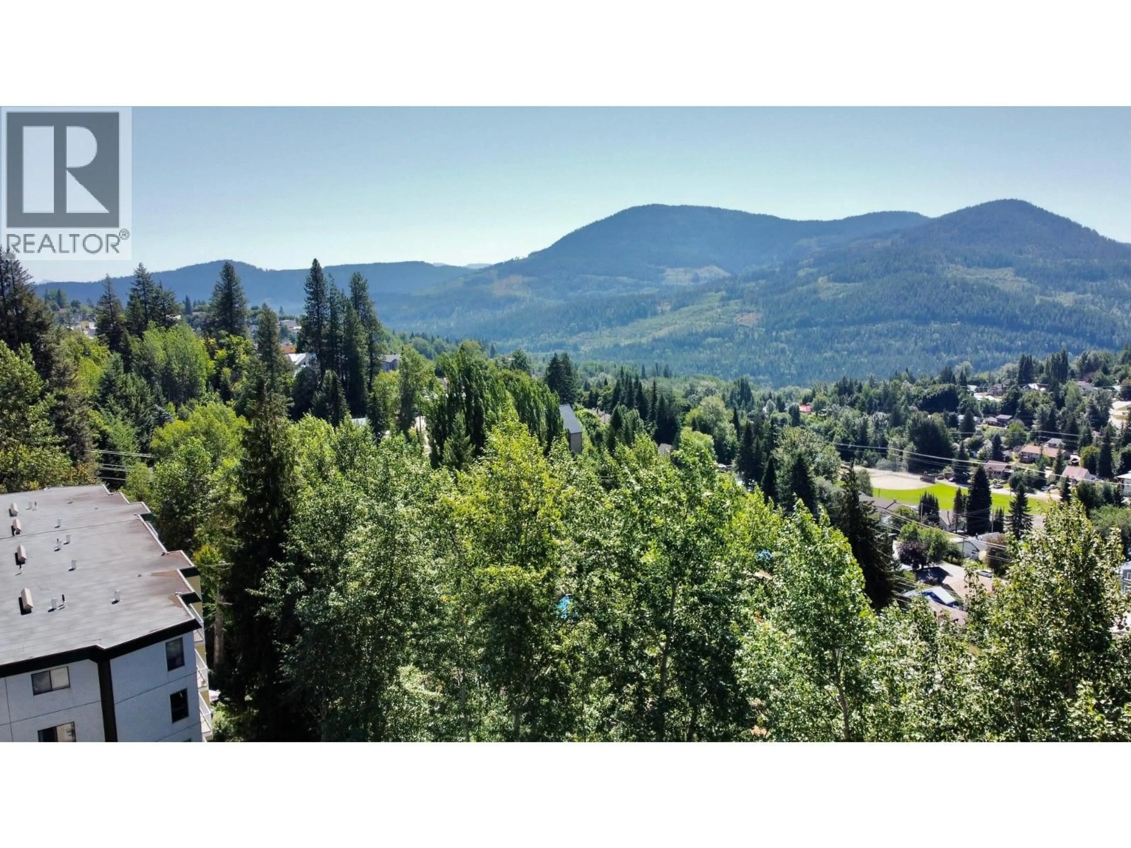 A pic from outside/outdoor area/front of a property/back of a property/a pic from drone, mountain view for 206 - 1611 NICKLEPLATE ROAD, Rossland British Columbia V0G1Y0
