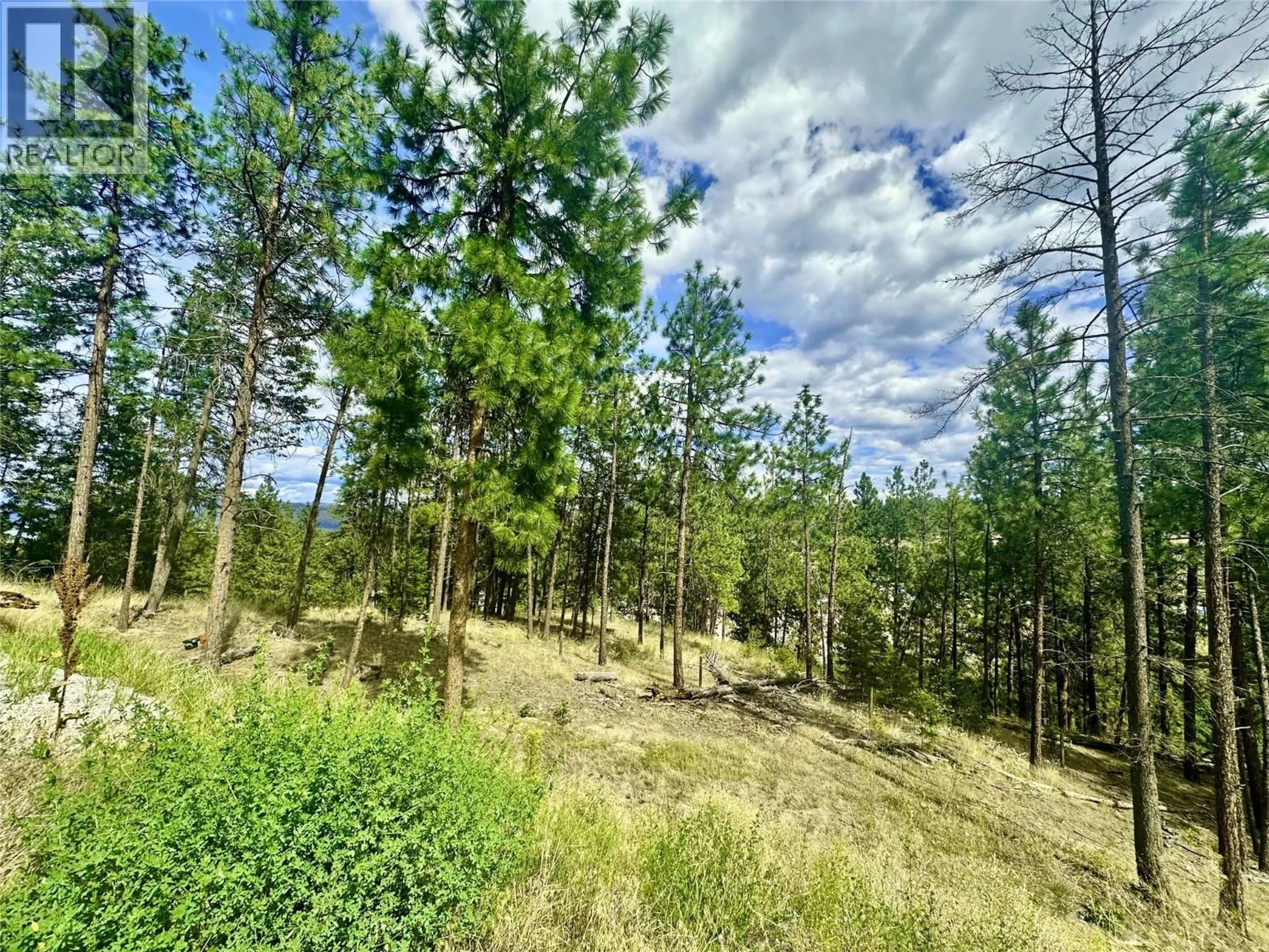 A pic from outside/outdoor area/front of a property/back of a property/a pic from drone, forest/trees view for 18 - 830 WESTVIEW WAY, West Kelowna British Columbia V1Z3Z3