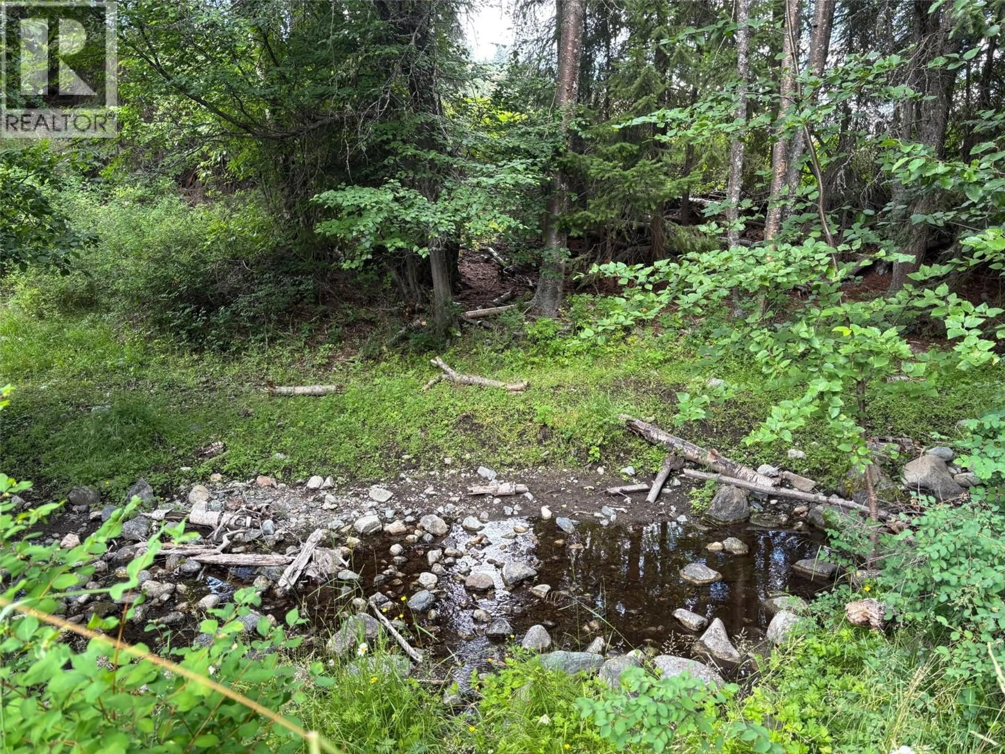 Blurry image for 1470 MCCARRON CREEK ROAD, Greenwood British Columbia V0H1J0