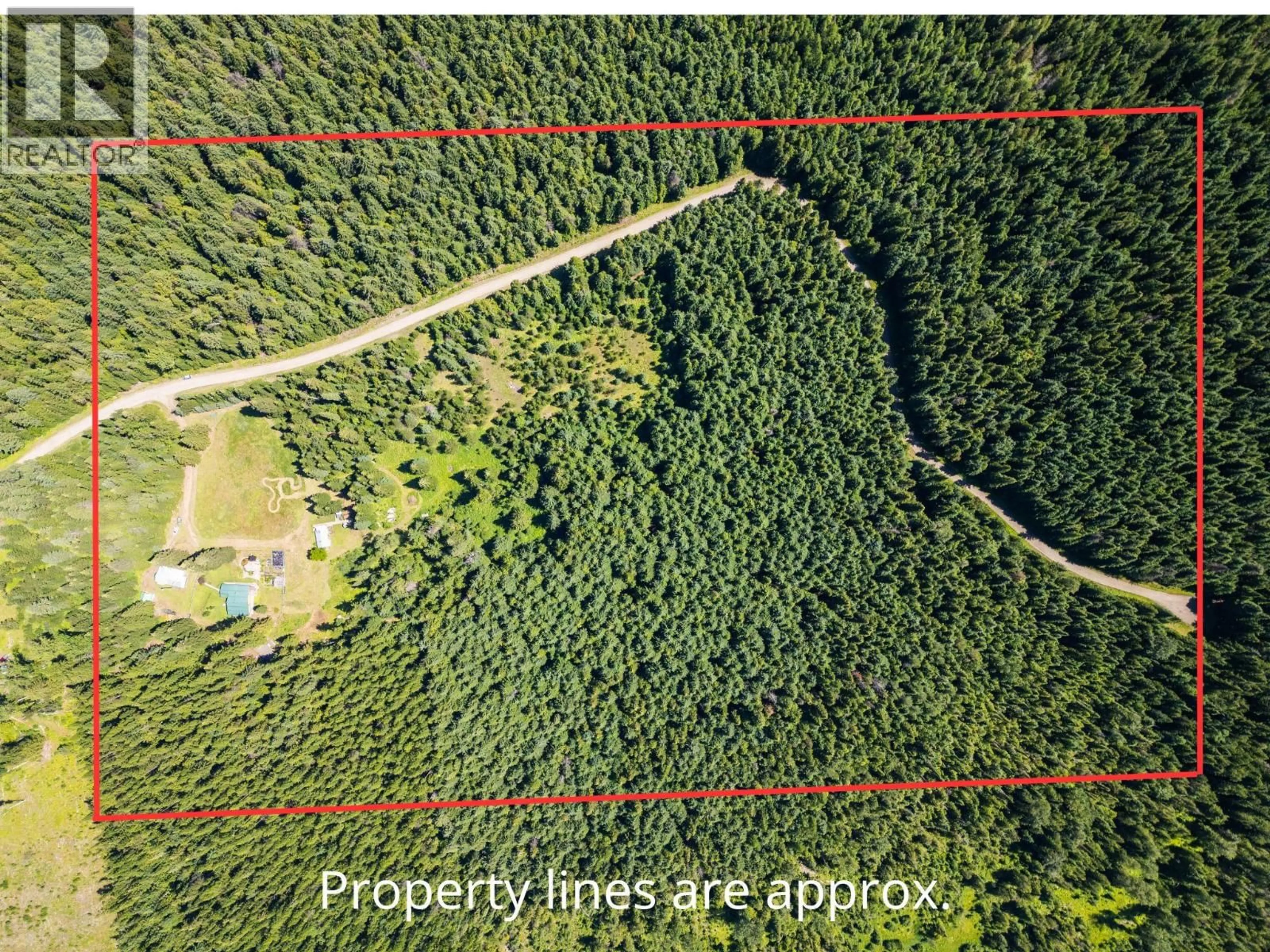 A pic from outside/outdoor area/front of a property/back of a property/a pic from drone, forest/trees view for 541 BEAR ROAD, Salmo British Columbia V0G1Z0