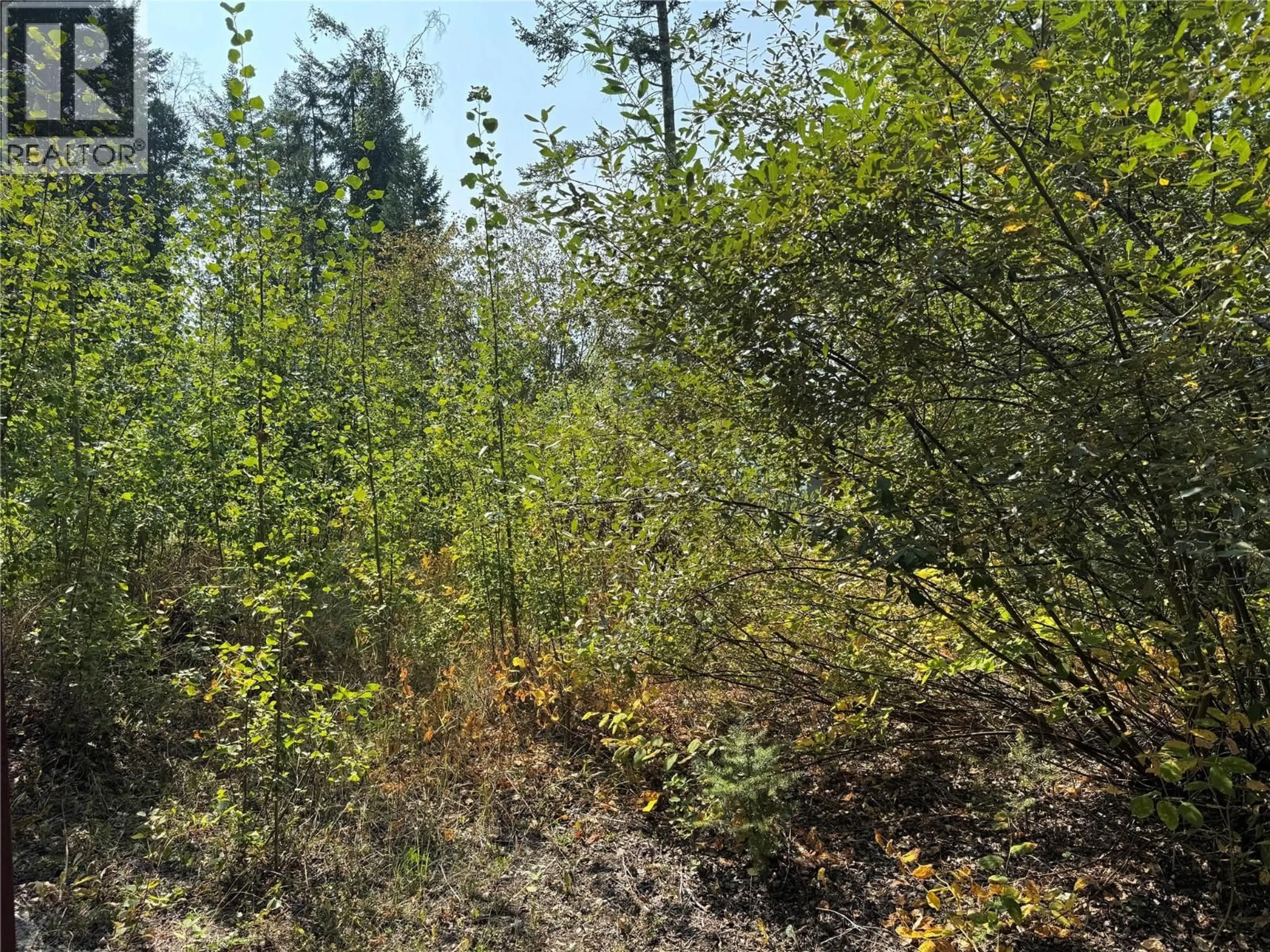 Unknown for ALMBERG ROAD, Golden British Columbia V0A1H2