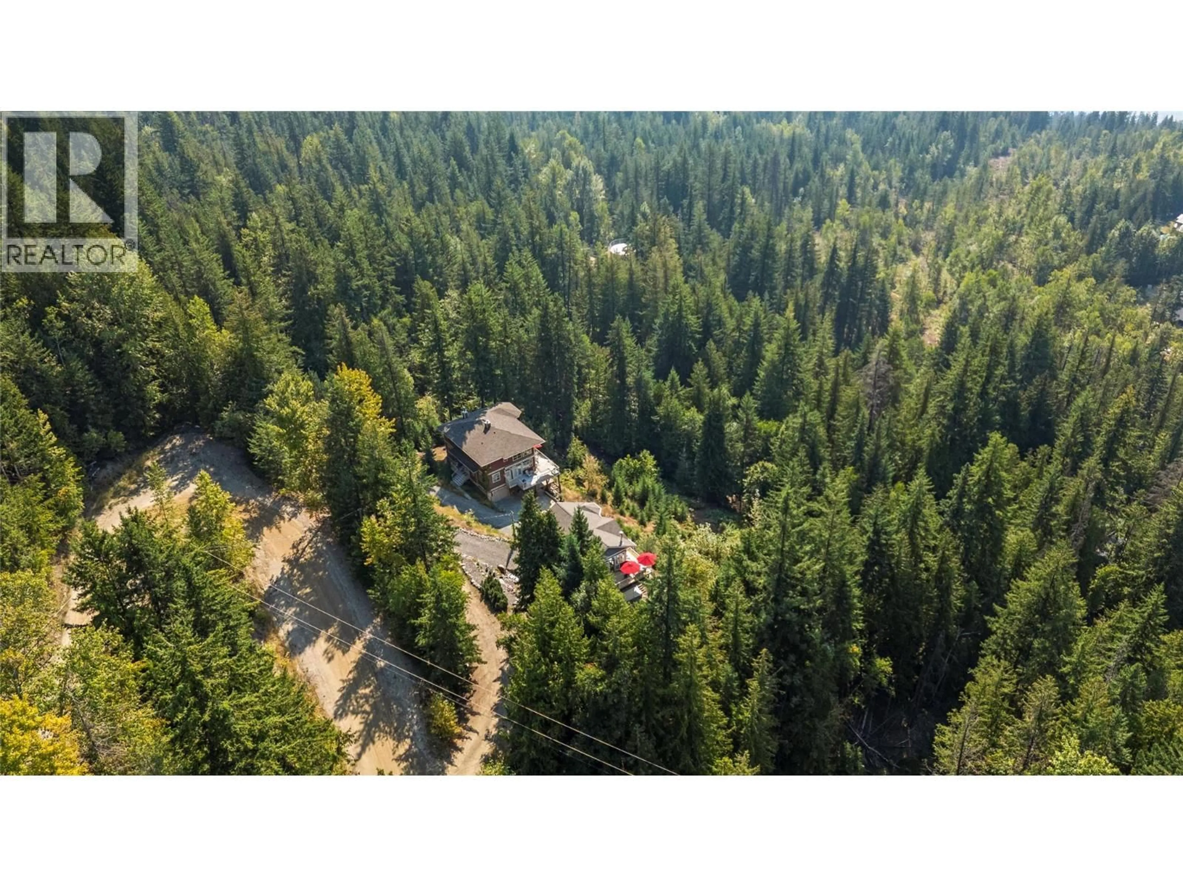 A pic from outside/outdoor area/front of a property/back of a property/a pic from drone, forest/trees view for 7666 LICHEN ROAD, Anglemont British Columbia V0E1M8