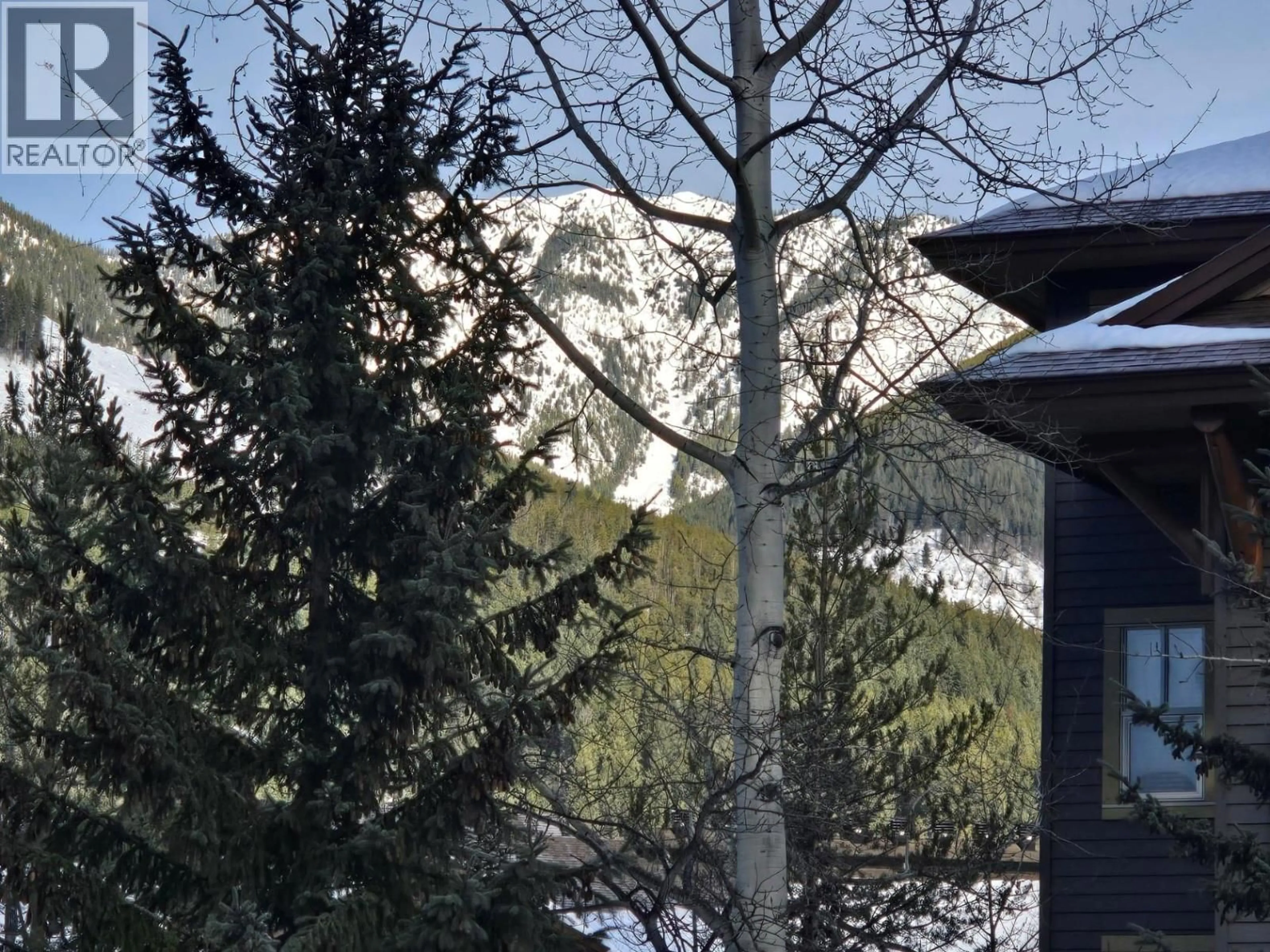 A pic from outside/outdoor area/front of a property/back of a property/a pic from drone, mountain view for 108 - 2080 SUMMIT DRIVE, Panorama British Columbia V0A1T0