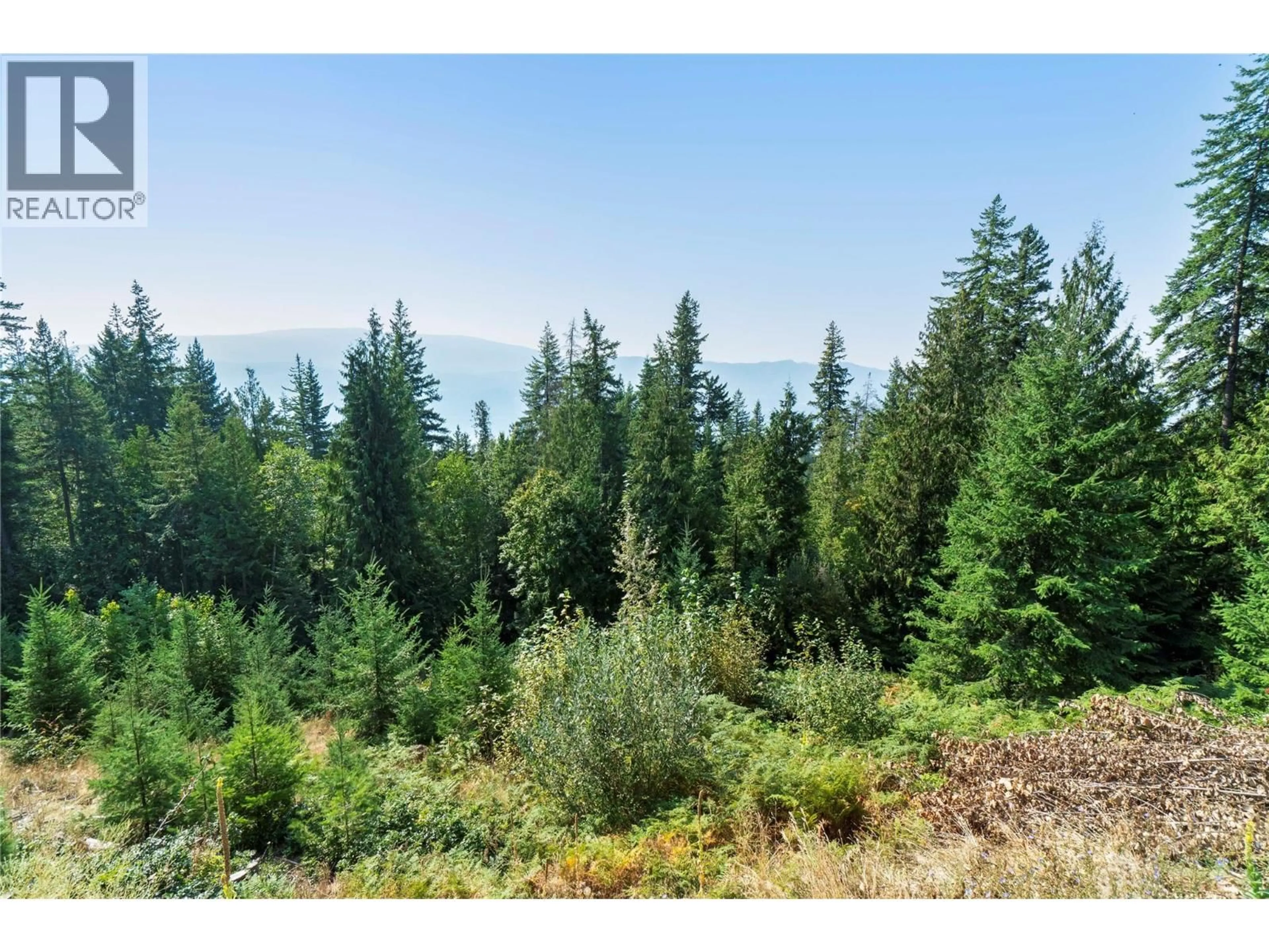 A pic from outside/outdoor area/front of a property/back of a property/a pic from drone, forest/trees view for 7660 LICHEN ROAD, Anglemont British Columbia V0E1M8