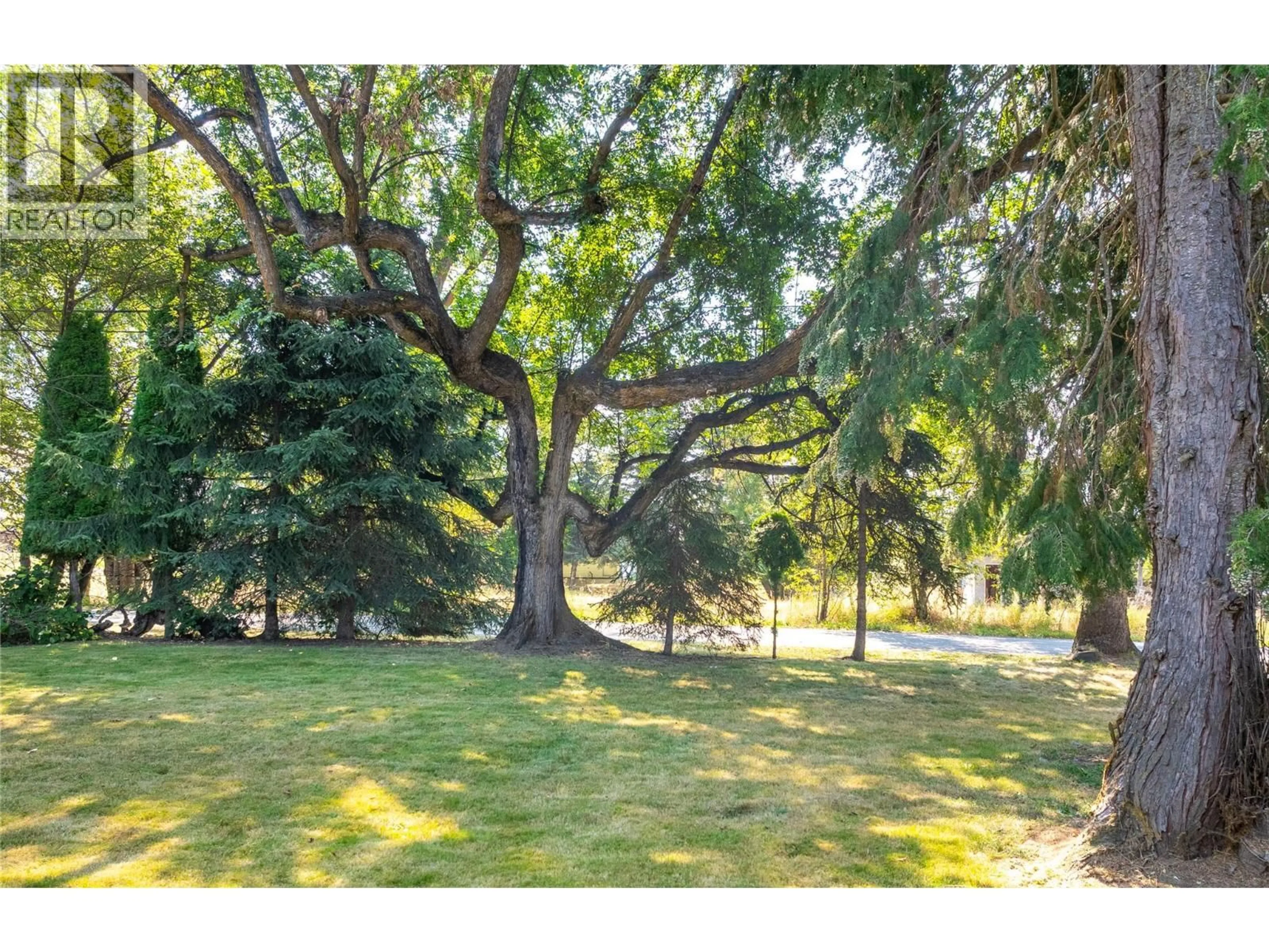 A pic from outside/outdoor area/front of a property/back of a property/a pic from drone, forest/trees view for 4580 44TH STREET, Canyon British Columbia V0B1C1