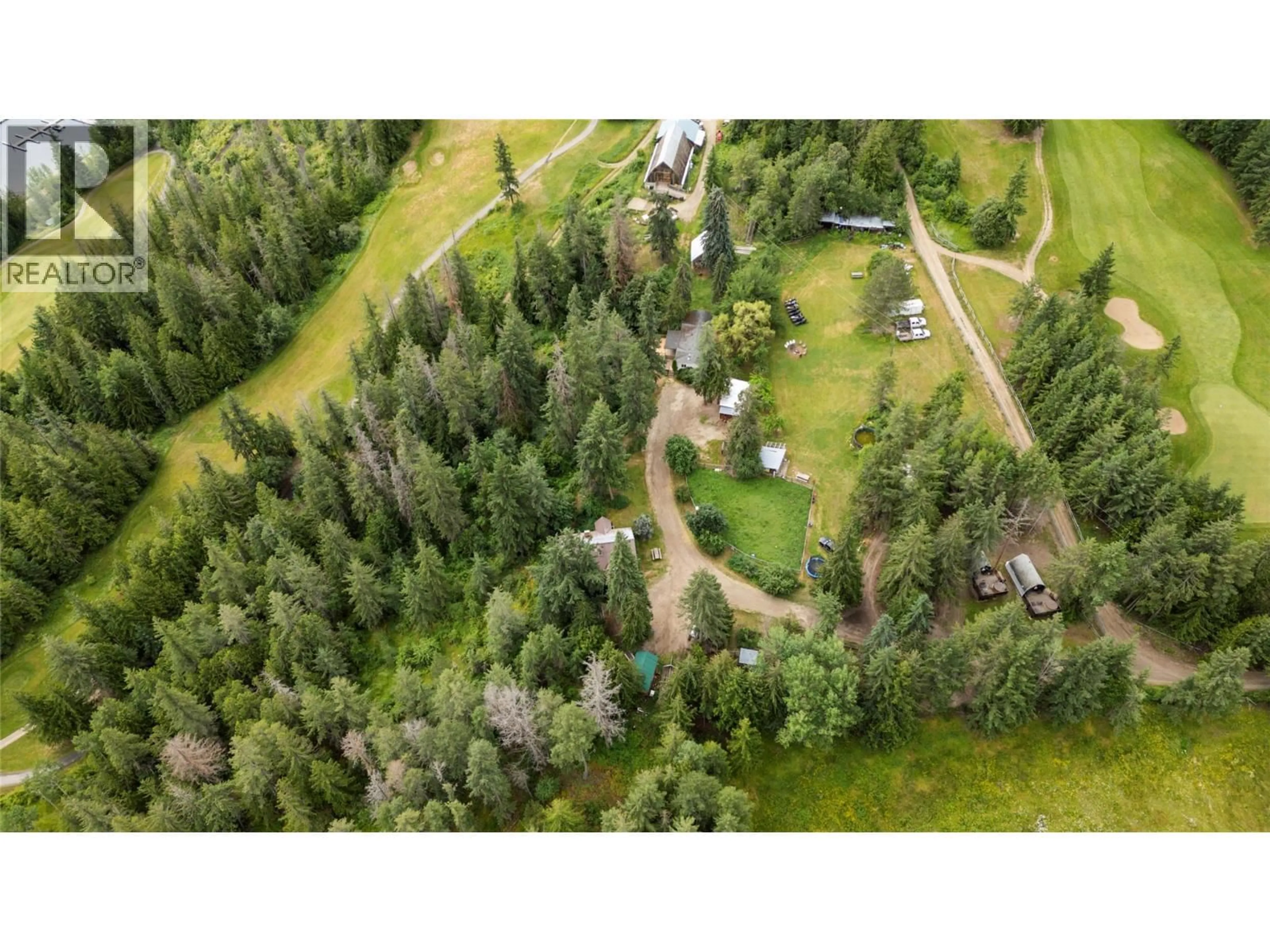 A pic from outside/outdoor area/front of a property/back of a property/a pic from drone, forest/trees view for 9866 OLD SPALLUMCHEEN ROAD, Sicamous British Columbia V0E2V3
