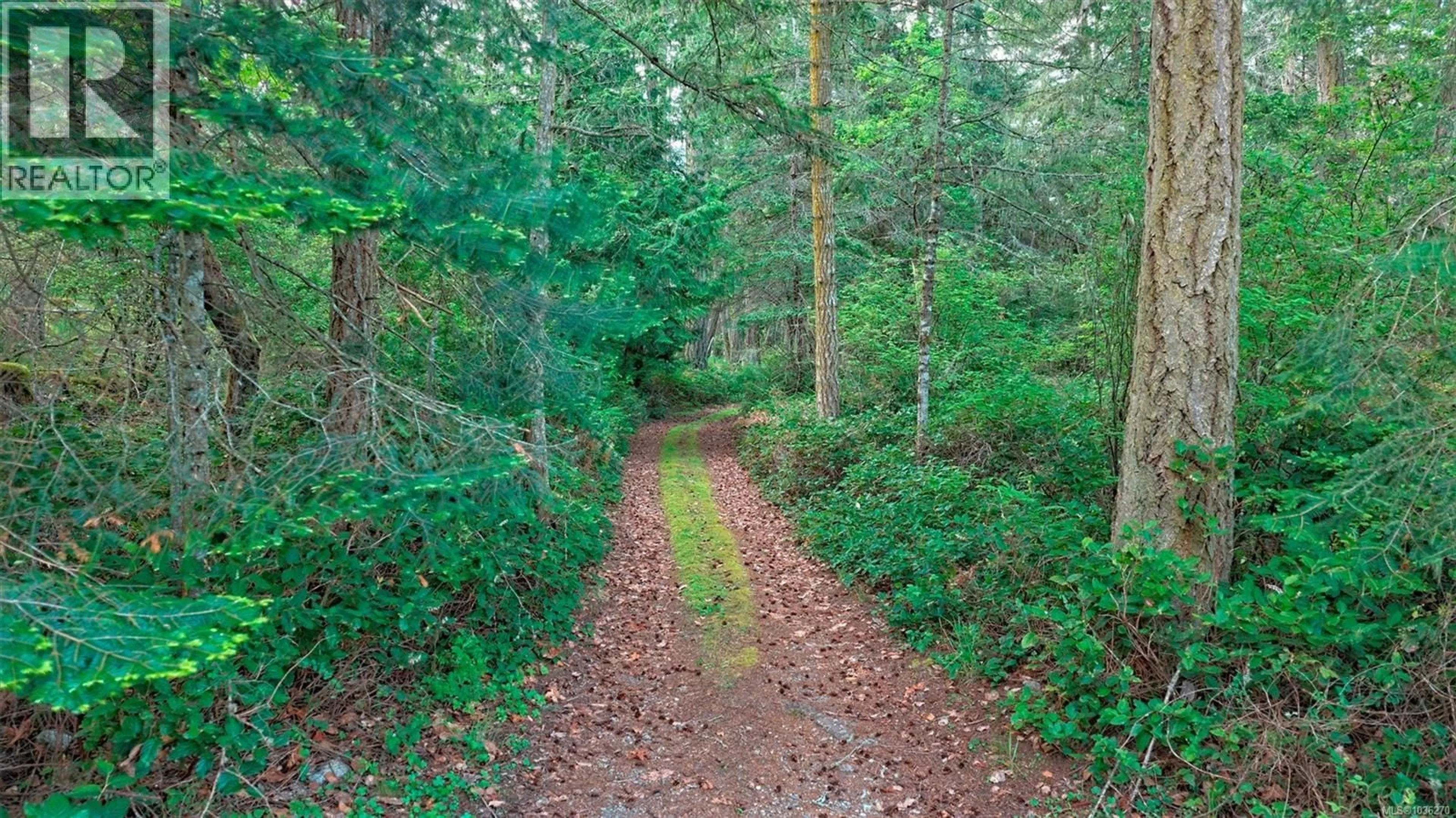 Blurry image for 157 MENHINICK DRIVE, Salt Spring British Columbia V8K1W7