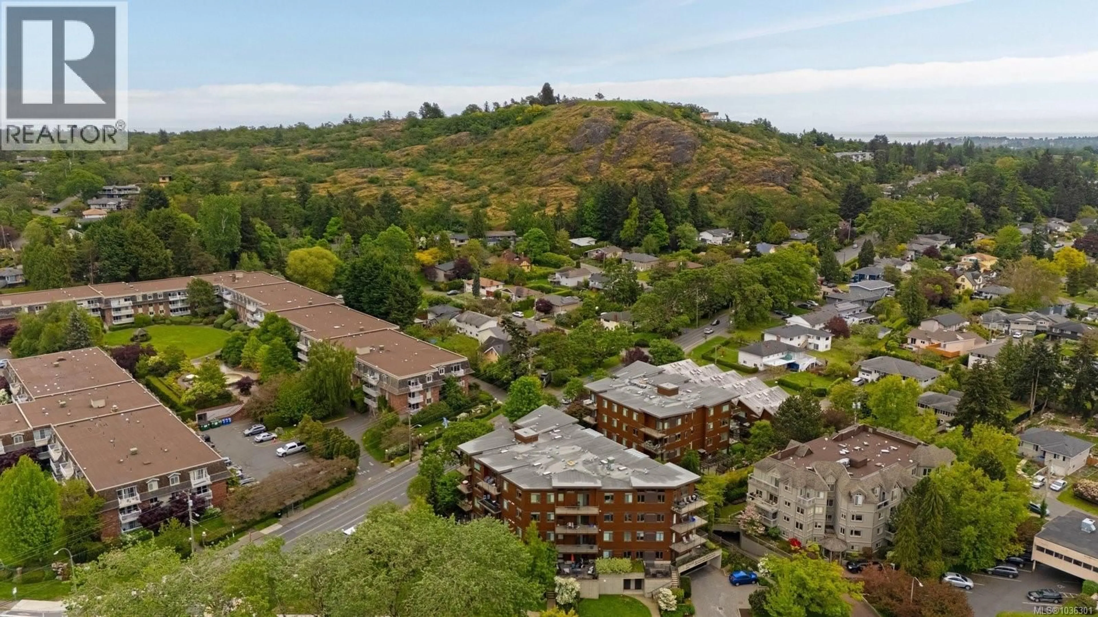 A pic from outside/outdoor area/front of a property/back of a property/a pic from drone, mountain view for 203 - 3614 RICHMOND ROAD, Saanich British Columbia V8P4R5