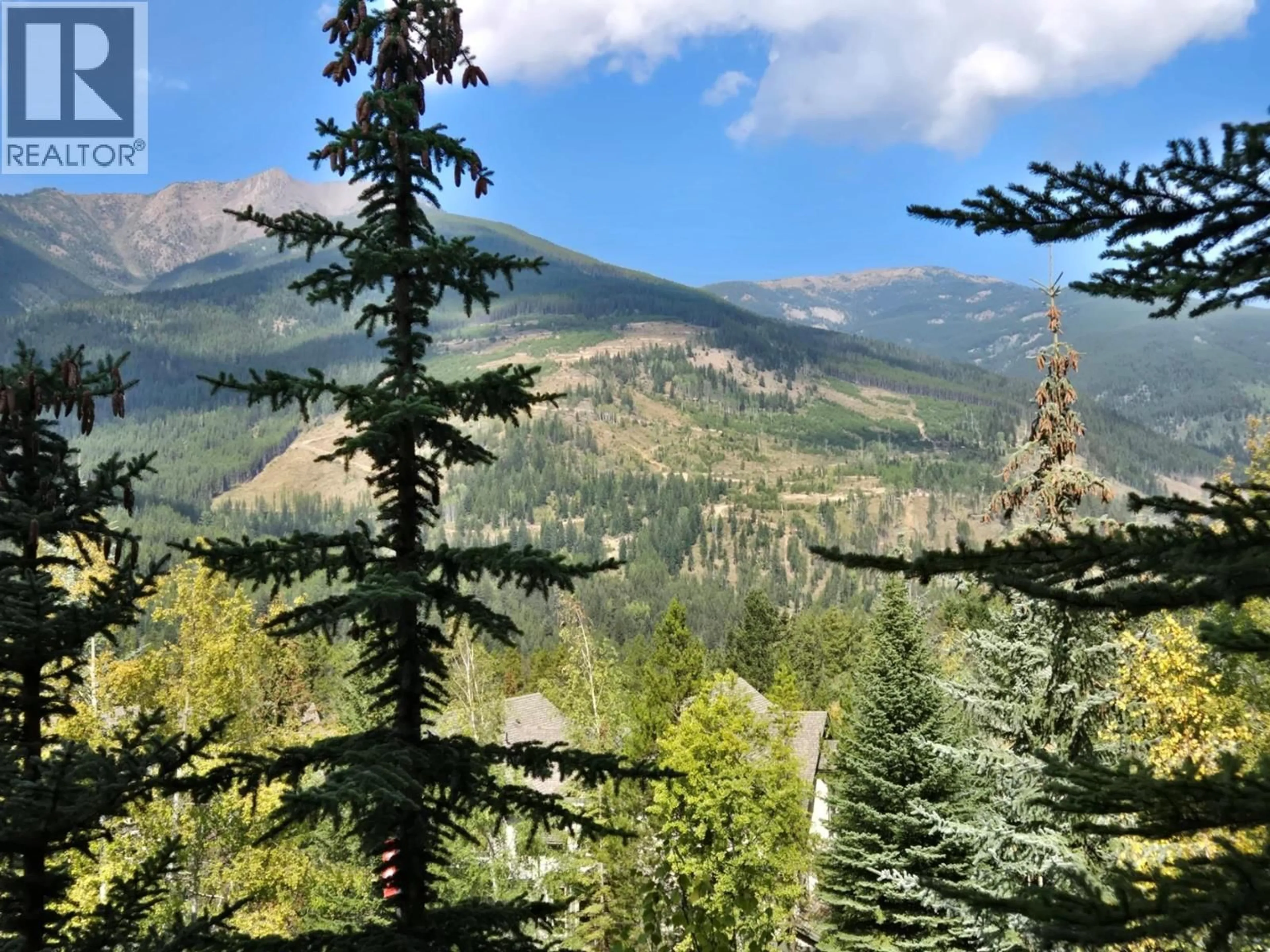 Unknown for 308 - 2090 SUMMIT DRIVE, Panorama British Columbia V0A1T0