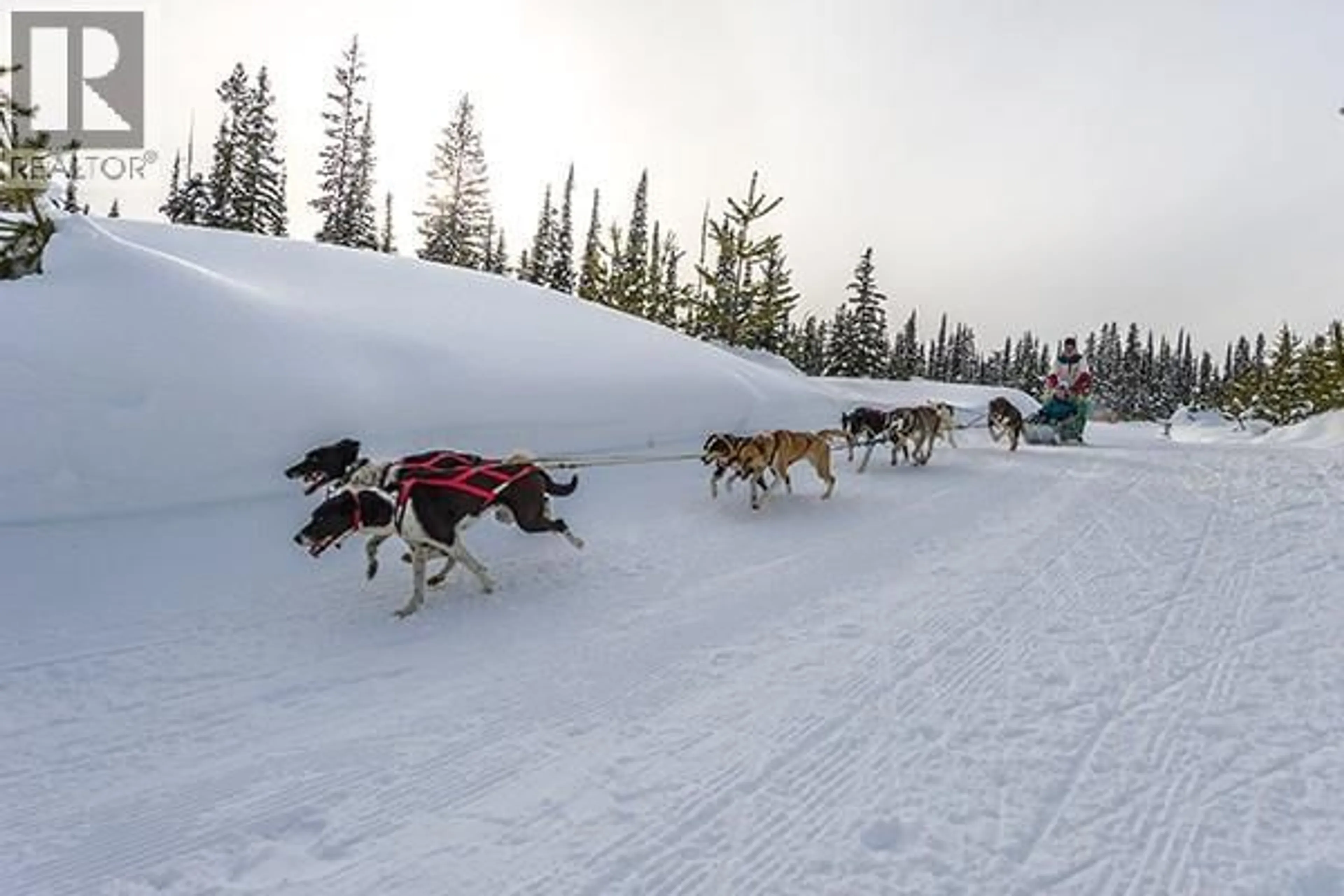 Blurry image for Lot 2 BLACK FOREST ROAD, Big White British Columbia V1P1P3