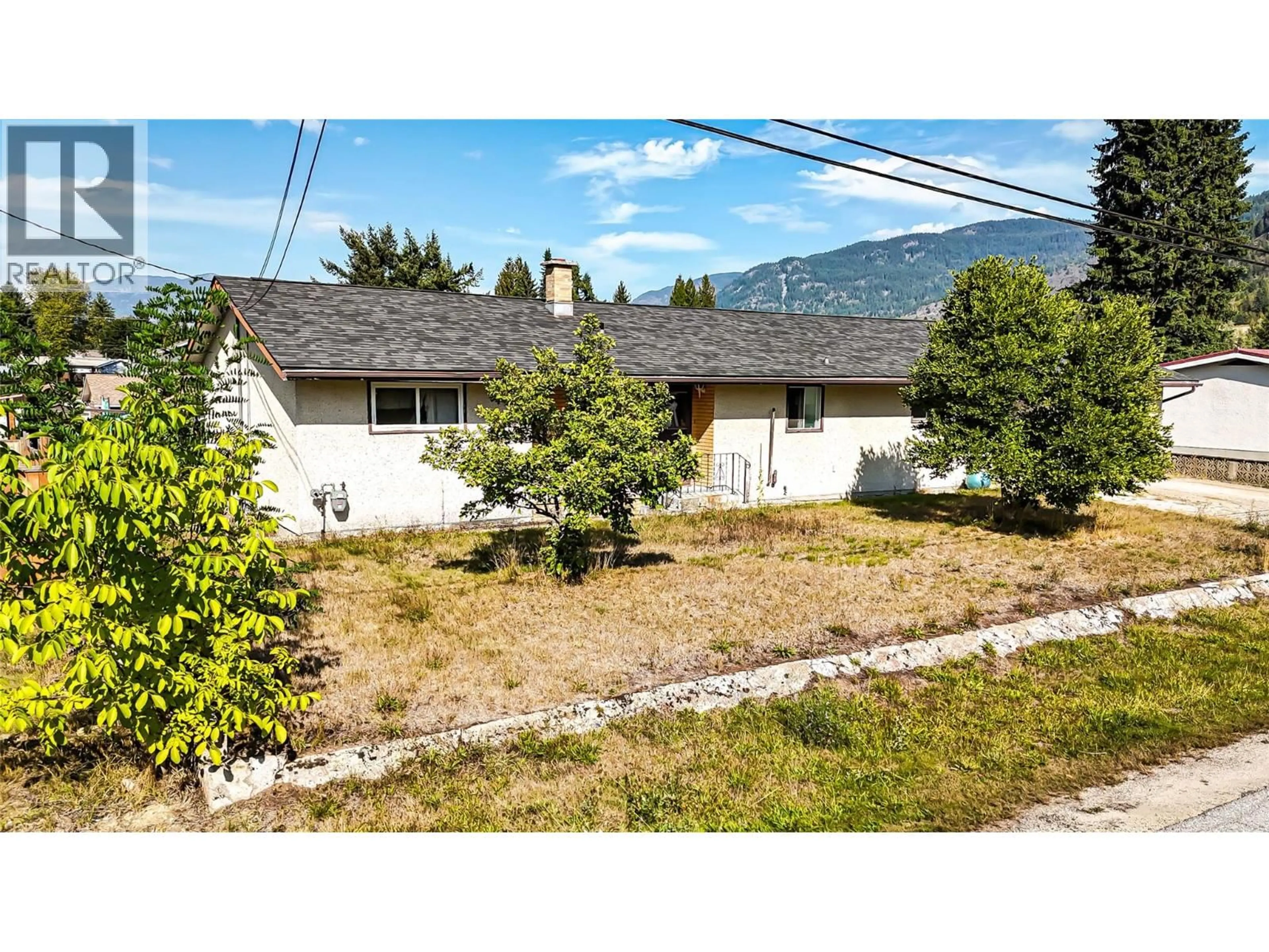 A pic from outside/outdoor area/front of a property/back of a property/a pic from drone, street for 115 101ST STREET, Castlegar British Columbia V1N3E3