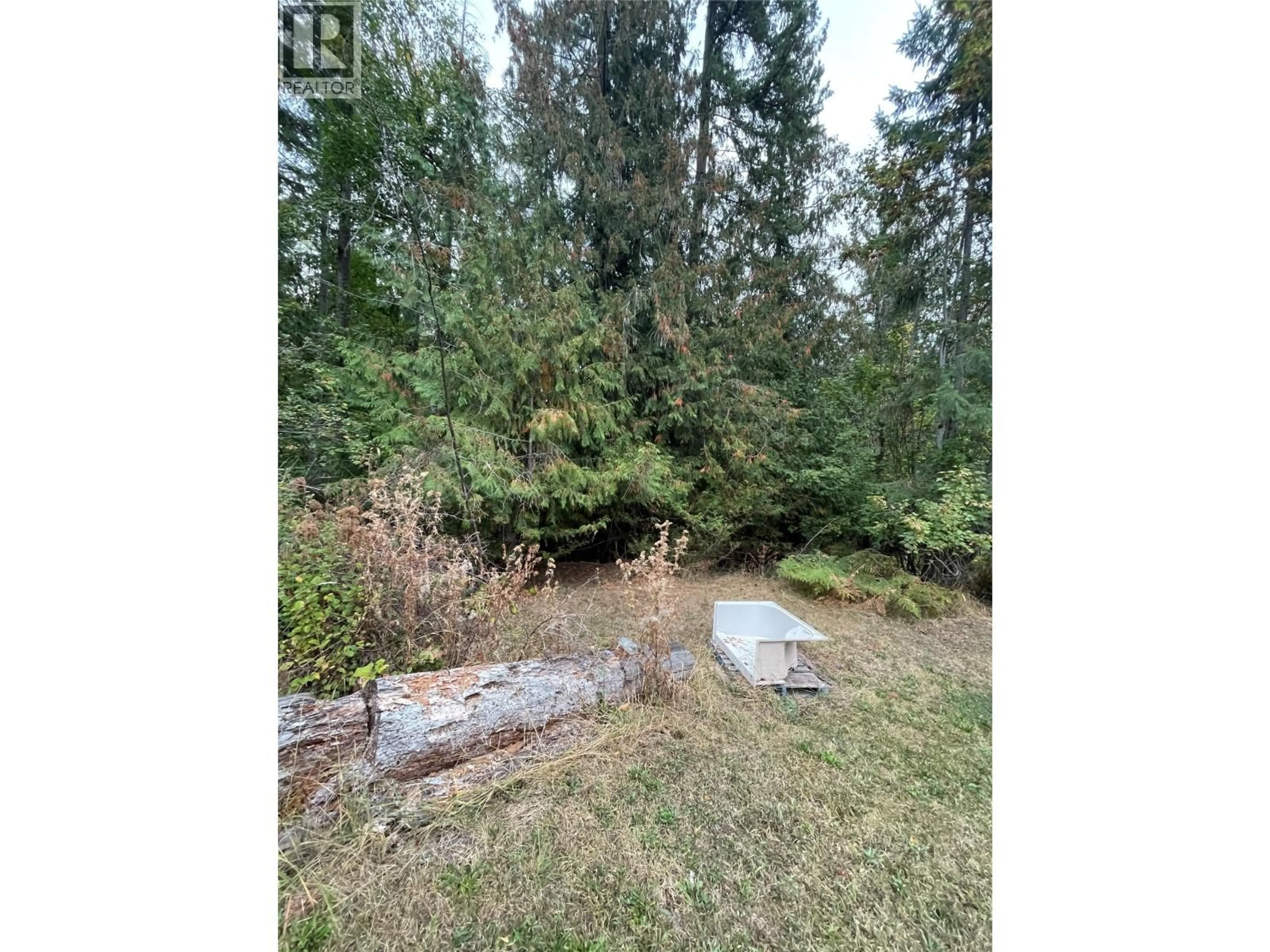 A pic from outside/outdoor area/front of a property/back of a property/a pic from drone, forest/trees view for 5206 LINE 17 ROAD, Celista British Columbia V0E1M6