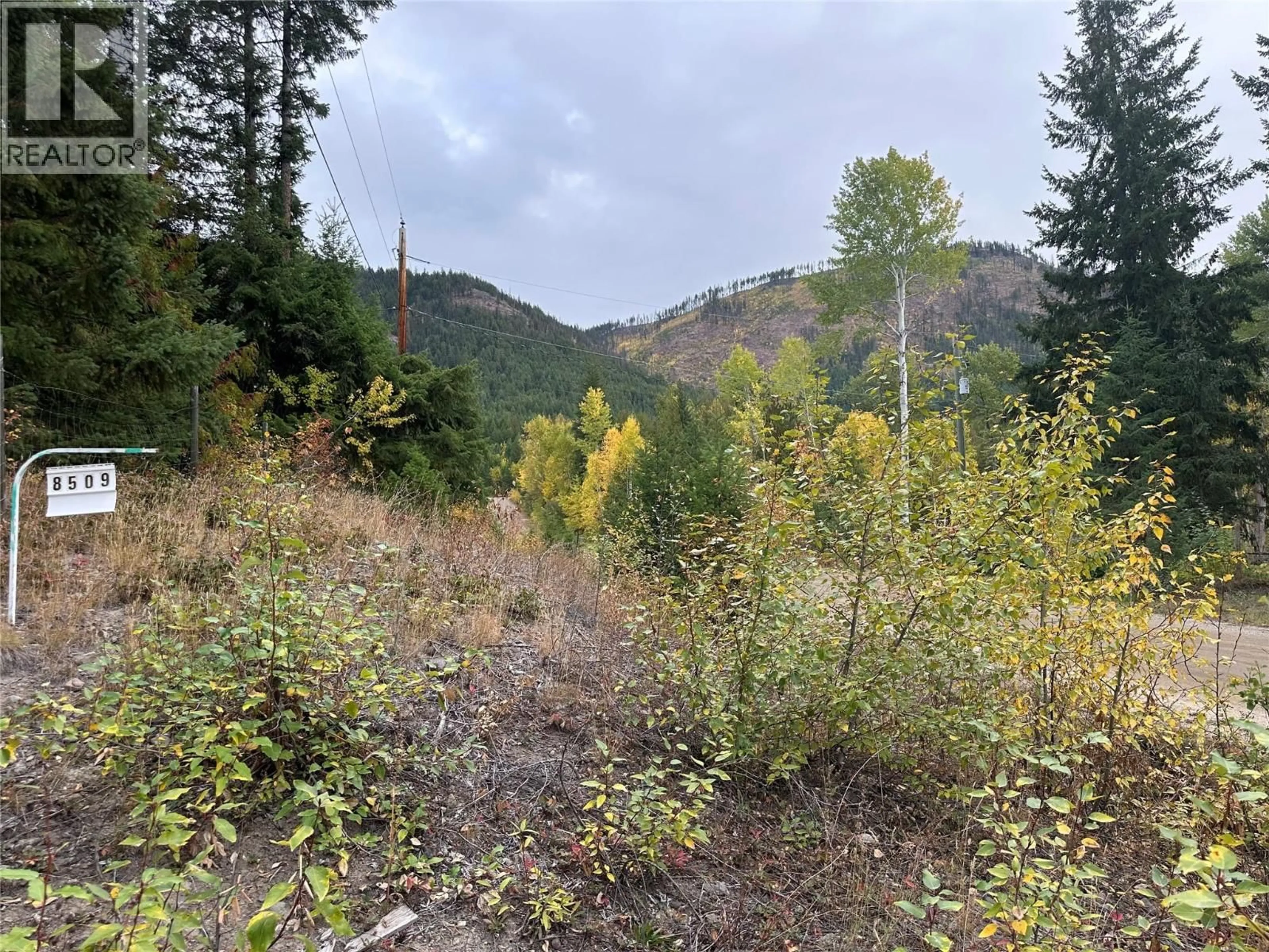 Blurry image for 8509 BLACK MOUNTAIN ROAD, Chase British Columbia V0E1M1