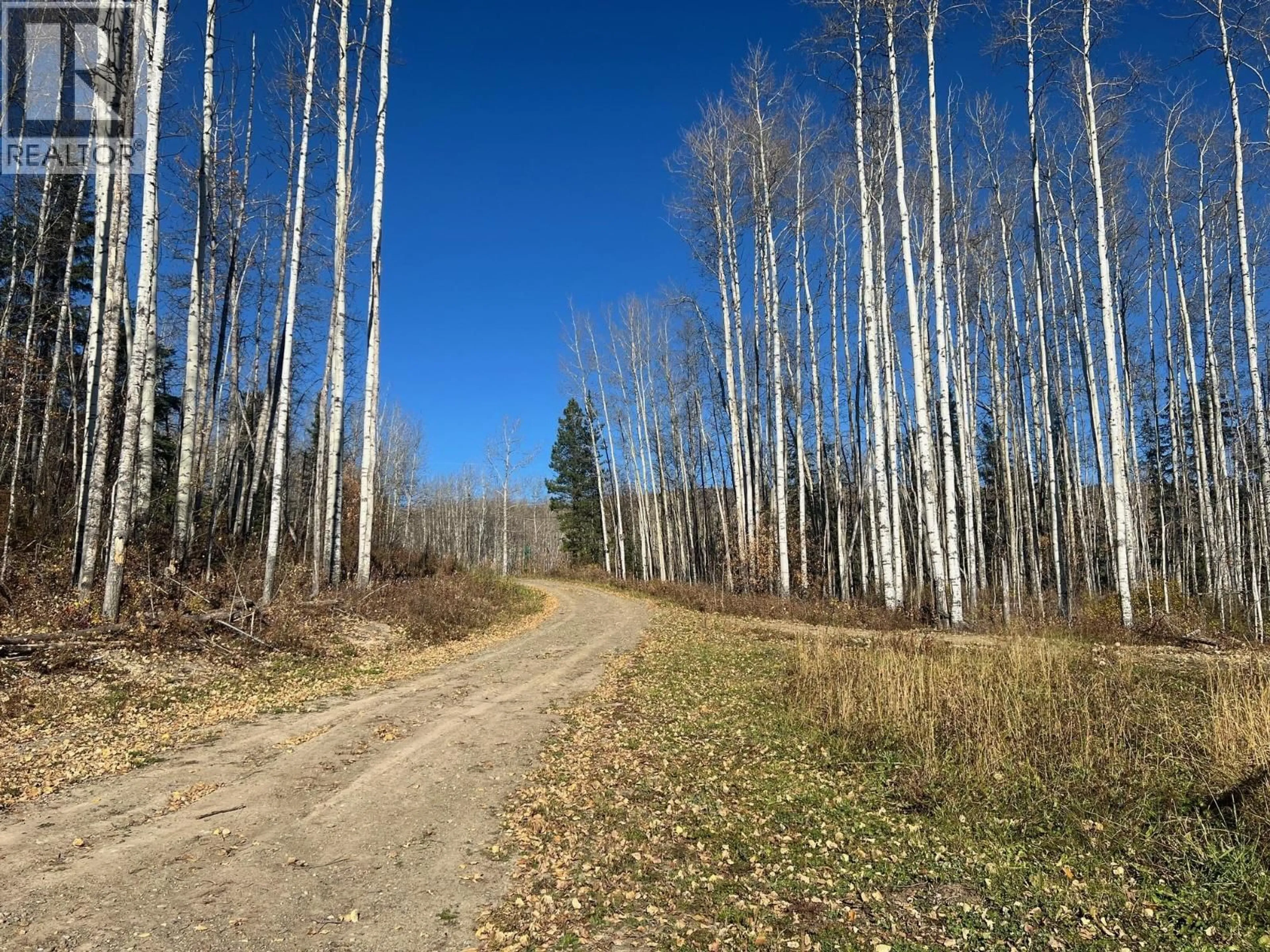 Blurry image for 6016 WESTALL OTHER, Chetwynd British Columbia V0C1J0