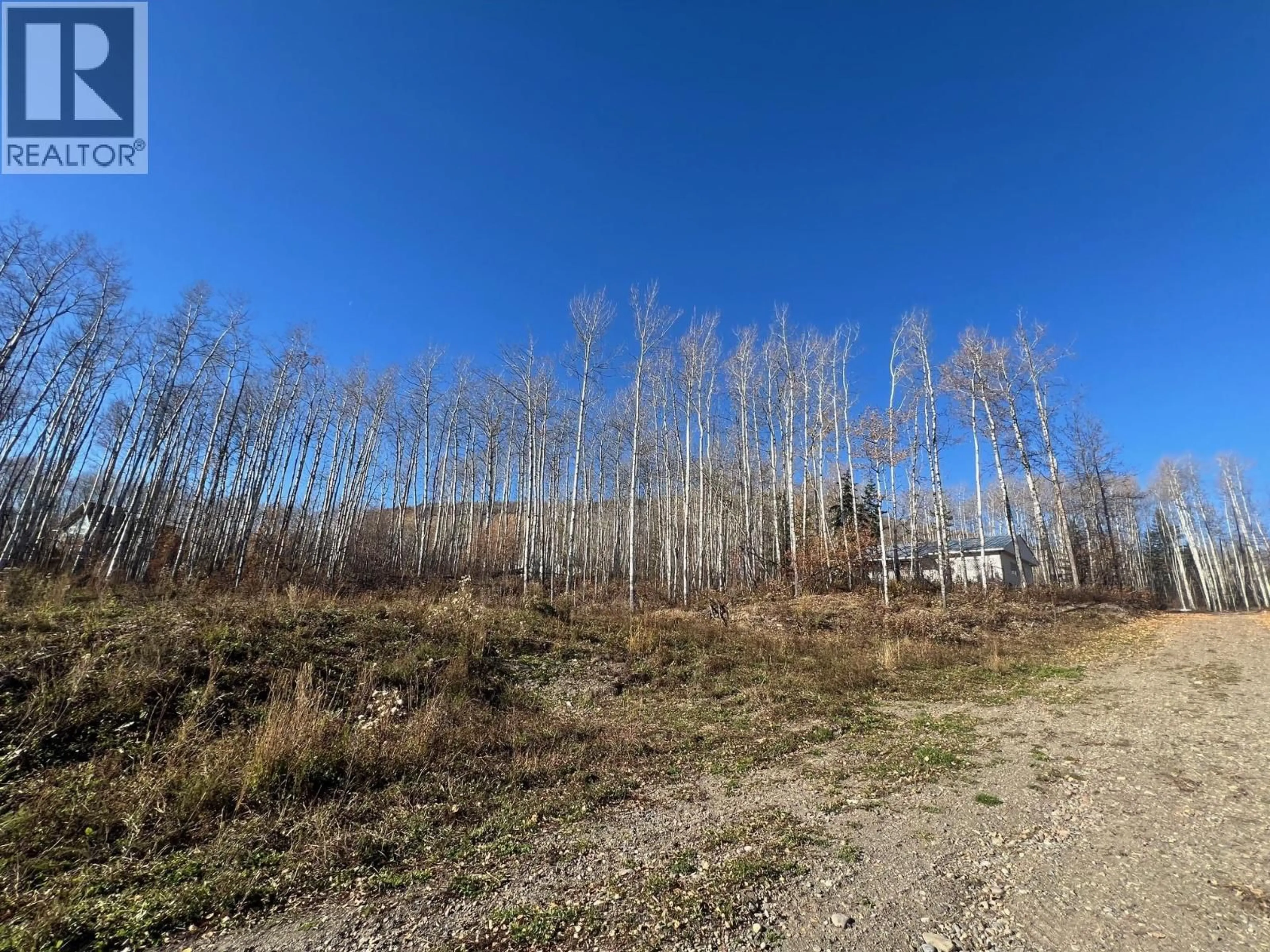 A pic from outside/outdoor area/front of a property/back of a property/a pic from drone, forest/trees view for 6016 WESTALL OTHER, Chetwynd British Columbia V0C1J0
