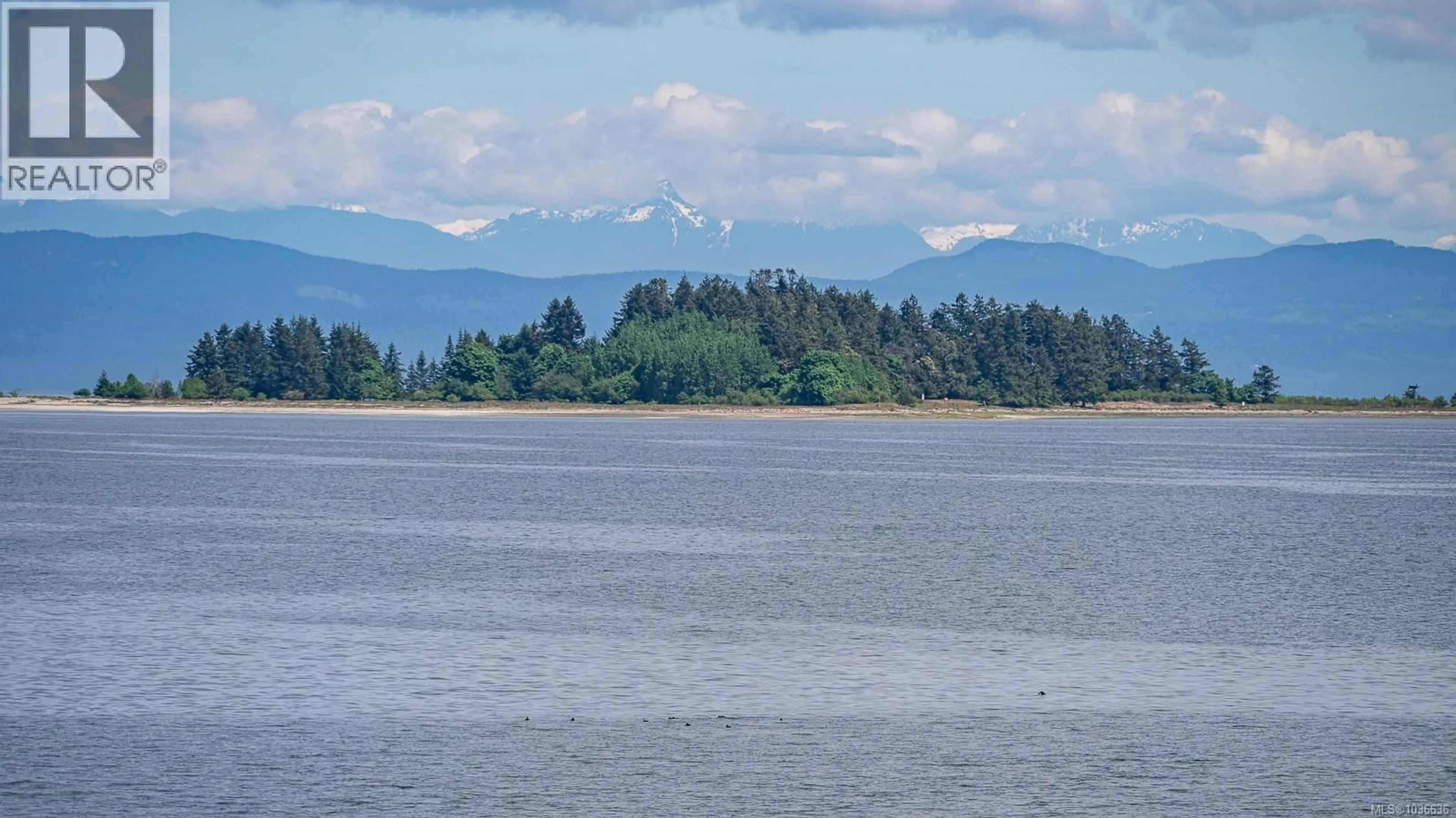 Blurry image for 4854 KILMARNOCK DRIVE, Courtenay British Columbia V9N9A5