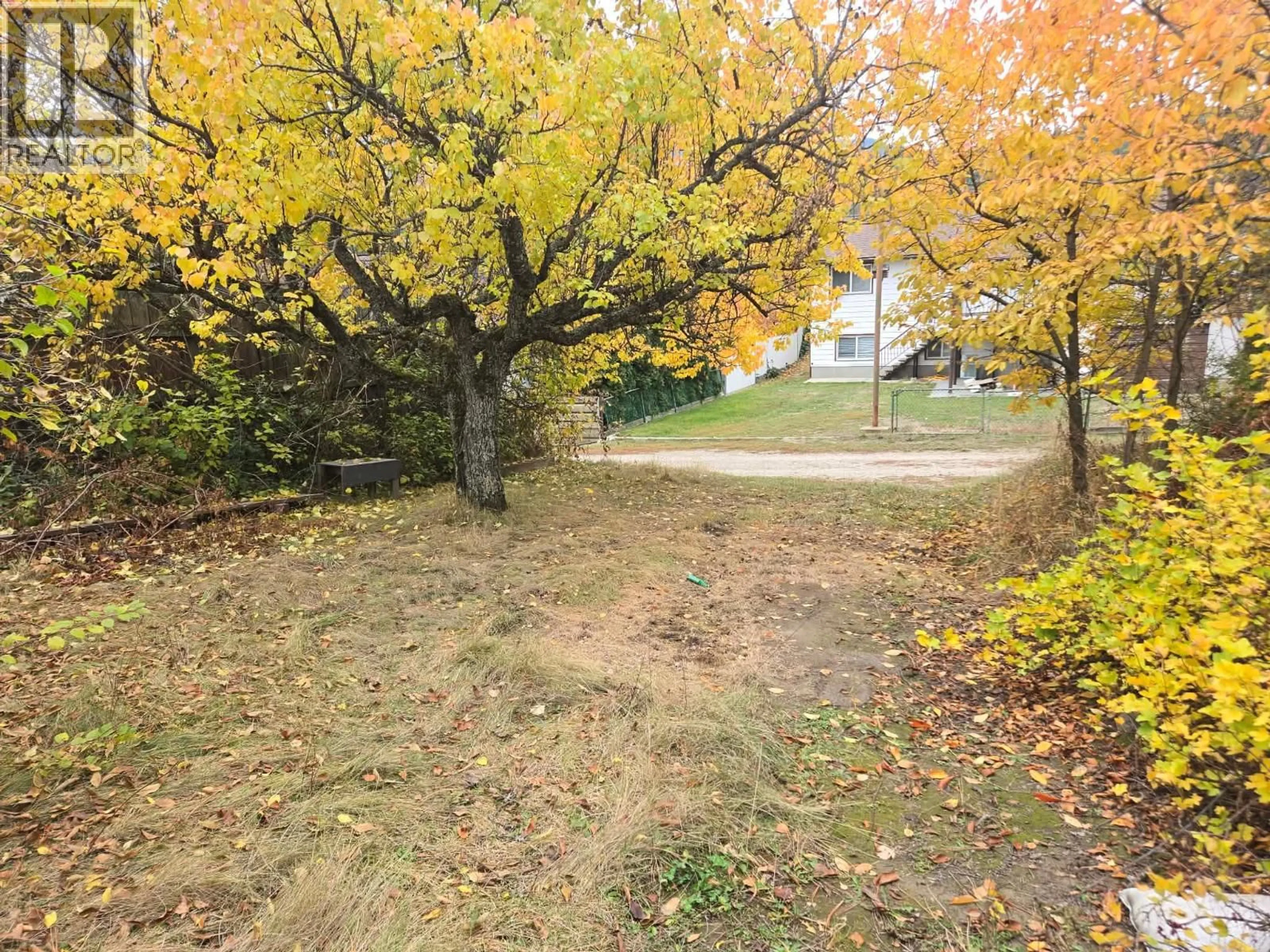 A pic from outside/outdoor area/front of a property/back of a property/a pic from drone, forest/trees view for 562 7TH AVENUE, Castlegar British Columbia V1N1R4
