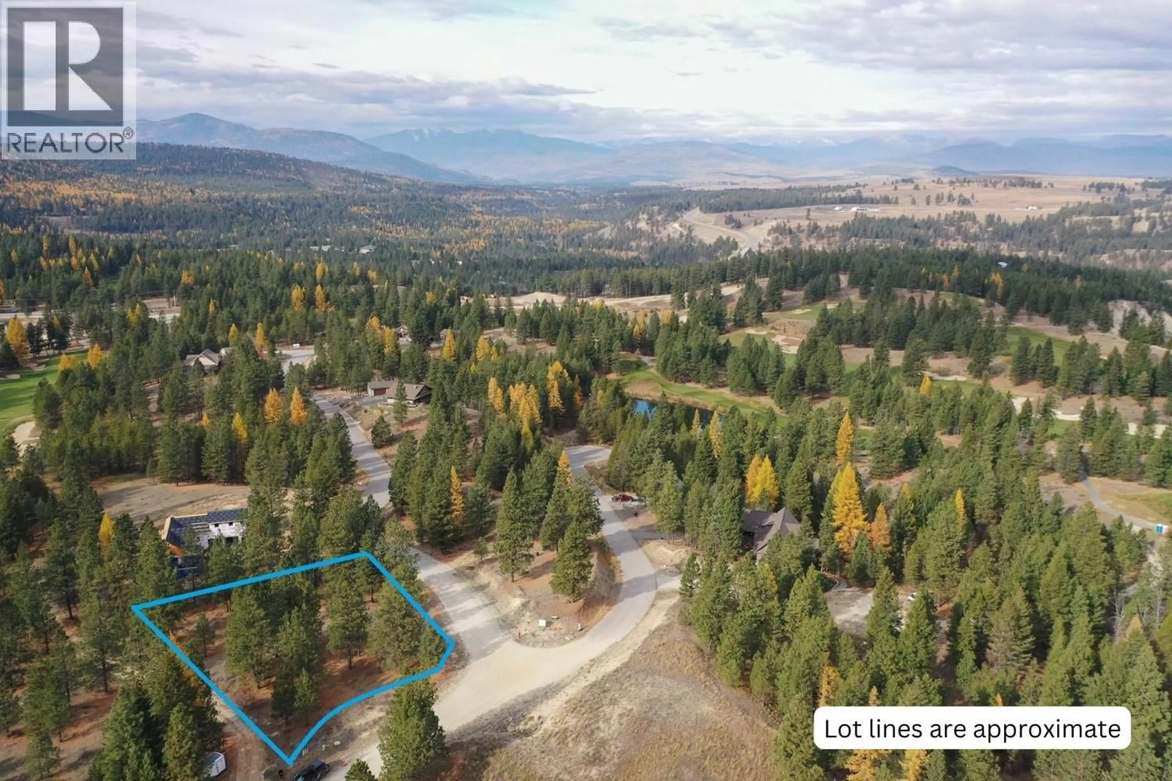 A pic from outside/outdoor area/front of a property/back of a property/a pic from drone, forest/trees view for 208 CORRAL BOULEVARD, Cranbrook British Columbia V1C0C2