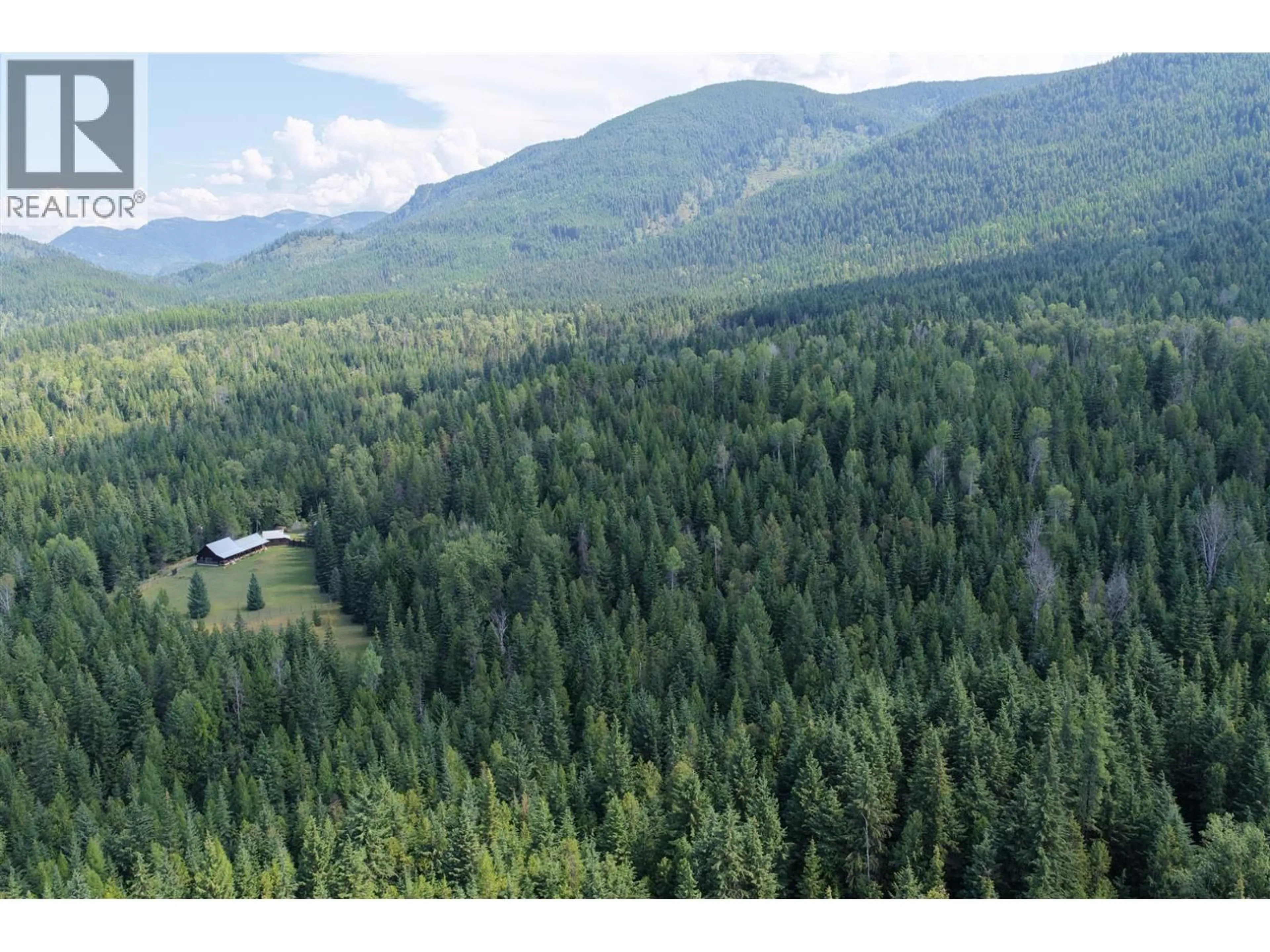 A pic from outside/outdoor area/front of a property/back of a property/a pic from drone, forest/trees view for 152 TALBOT ROAD, Nelway British Columbia V0G1Z0