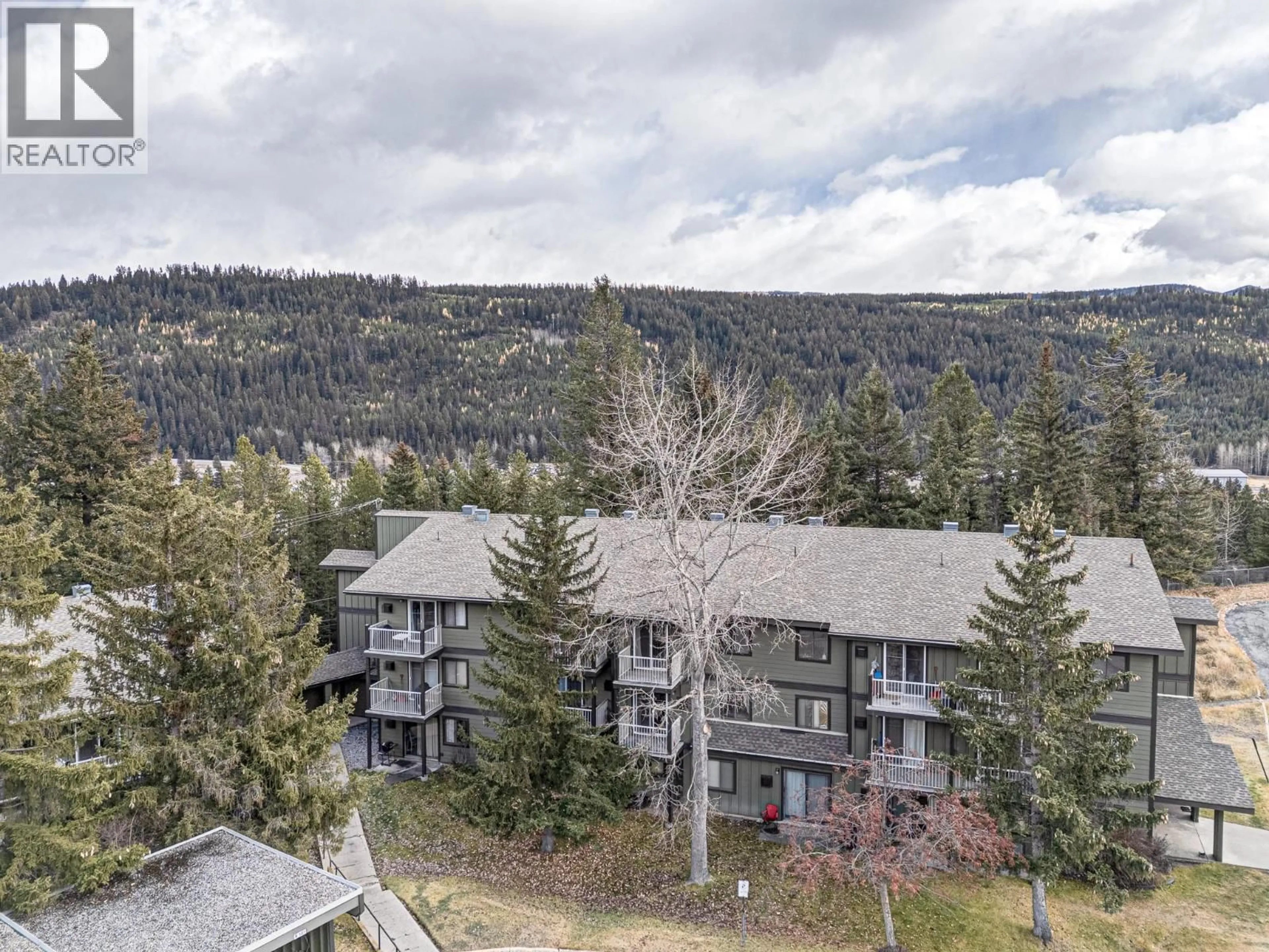 A pic from outside/outdoor area/front of a property/back of a property/a pic from drone, unknown for 306A - 1802 ALPINE DRIVE, Elkford British Columbia V0B1H0