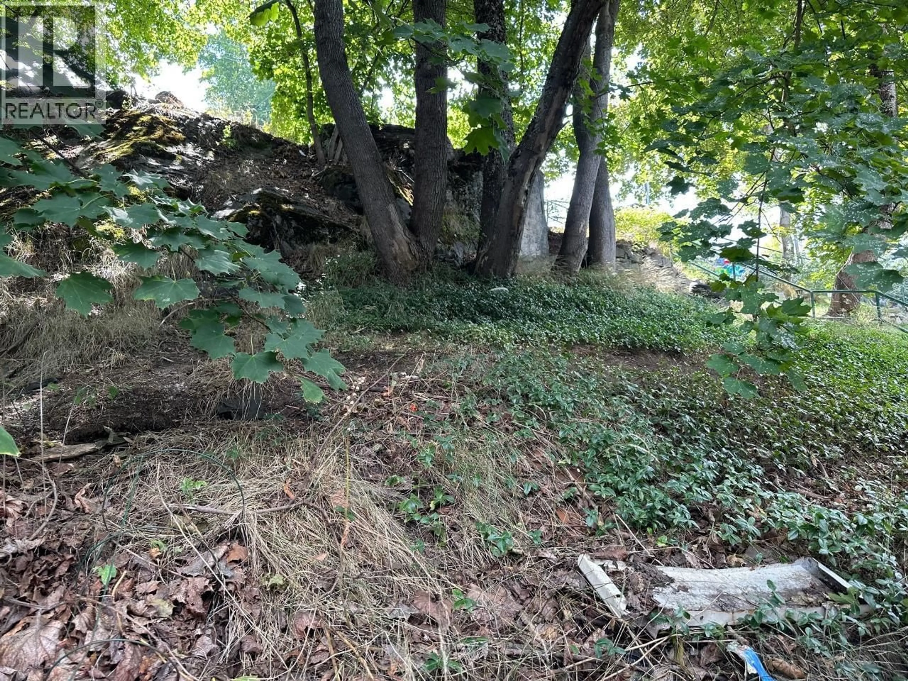 Unknown for 519 HALL STREET, Nelson British Columbia V1L1Z1