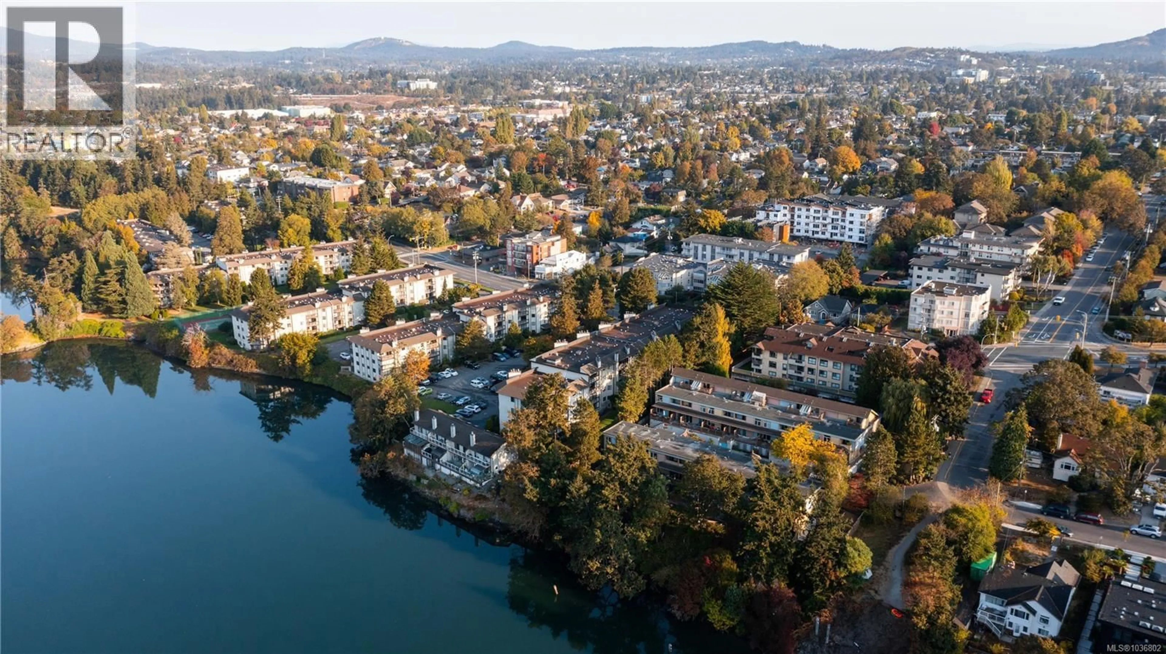 A pic from outside/outdoor area/front of a property/back of a property/a pic from drone, water/lake/river/ocean view for 101 - 69 GORGE ROAD WEST, Saanich British Columbia V9A1L9